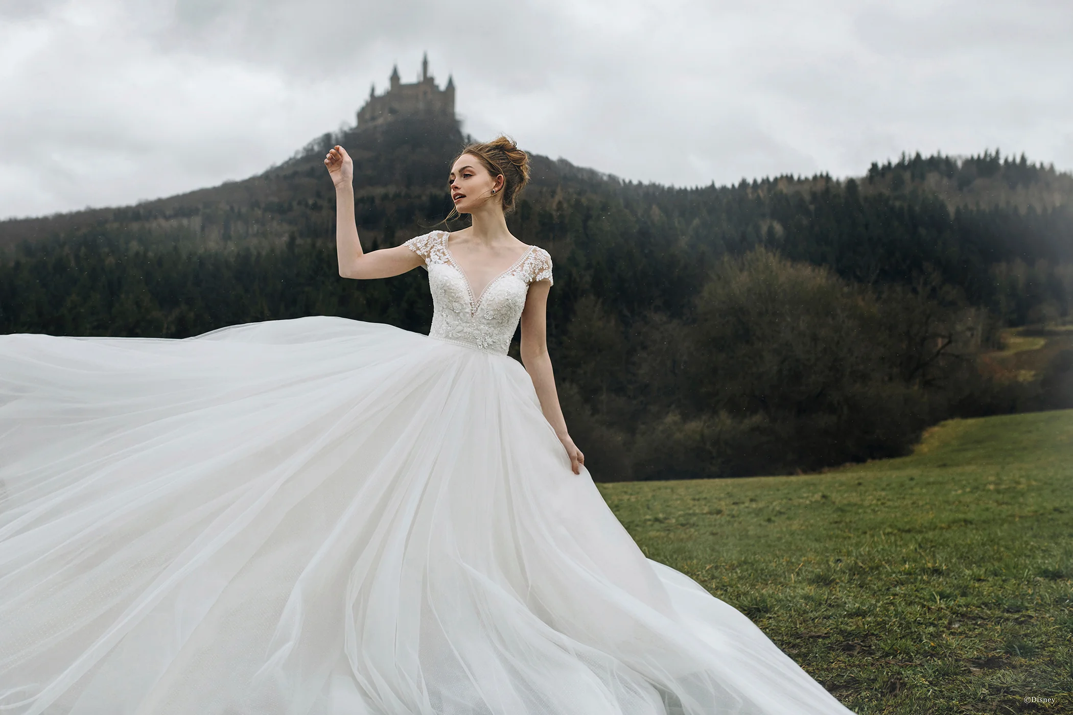 D263 - Cinderella - Image 3