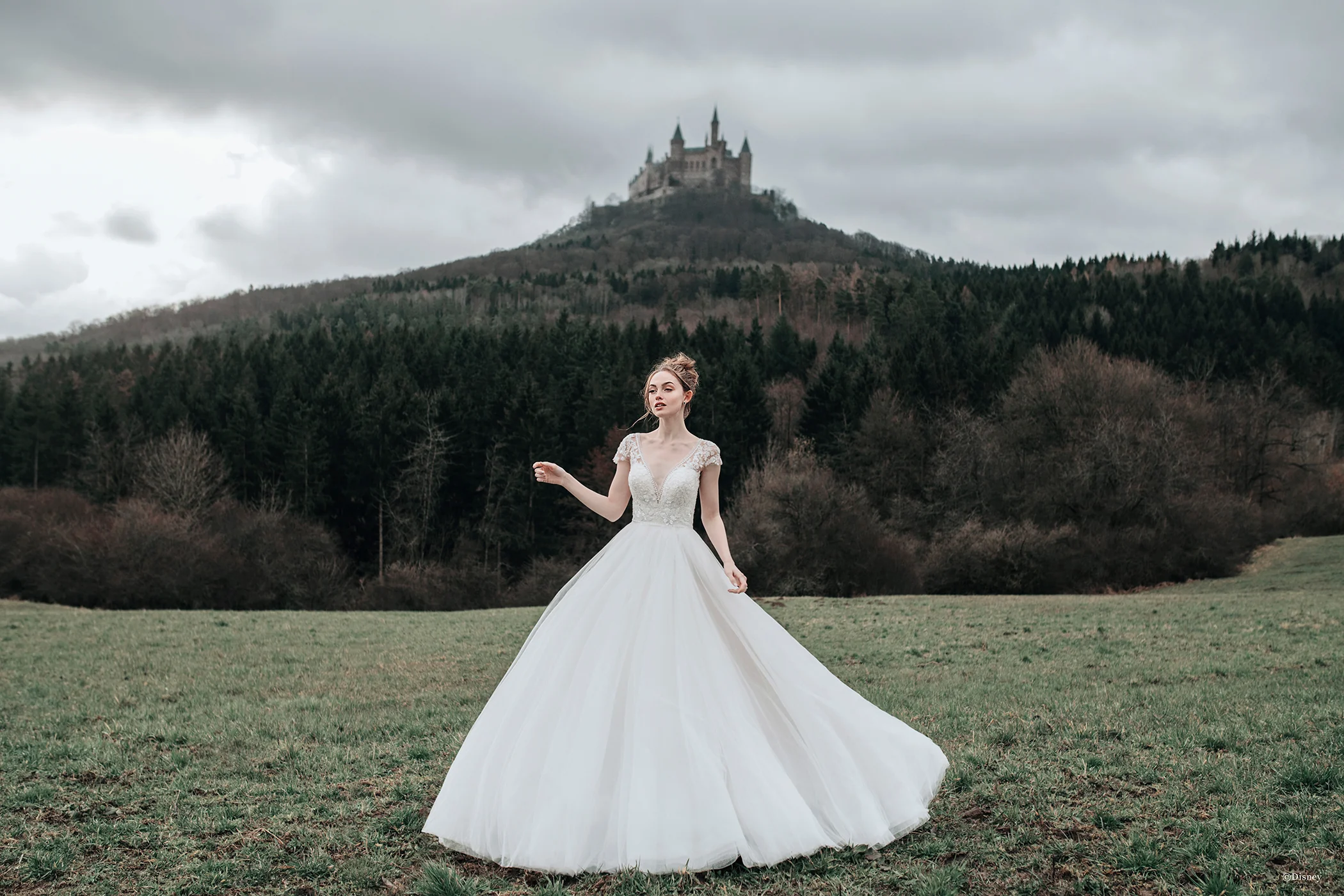 D263 - Cinderella - Image 4