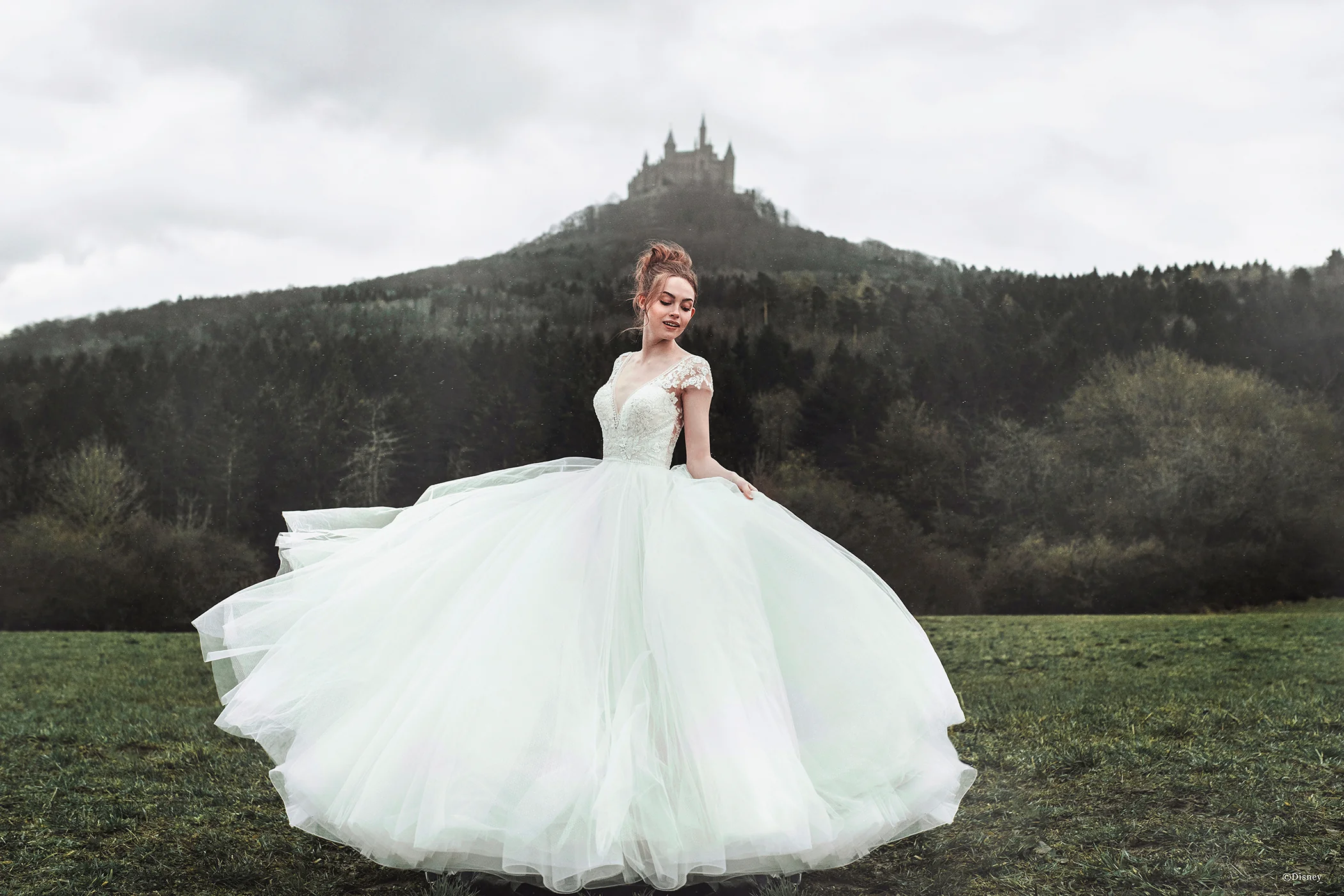D263 - Cinderella - Image 5