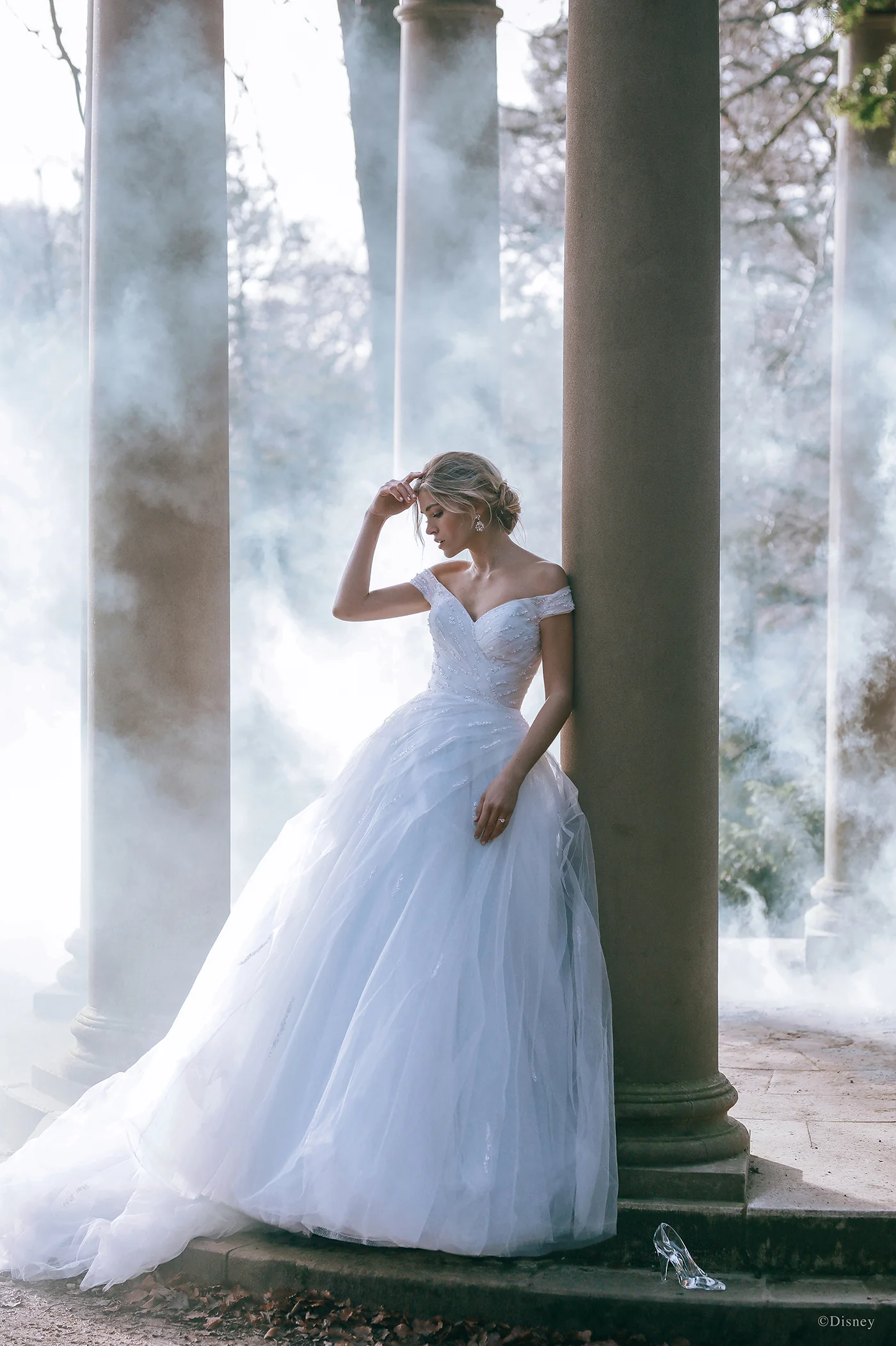 D283 - Cinderella - Image 3