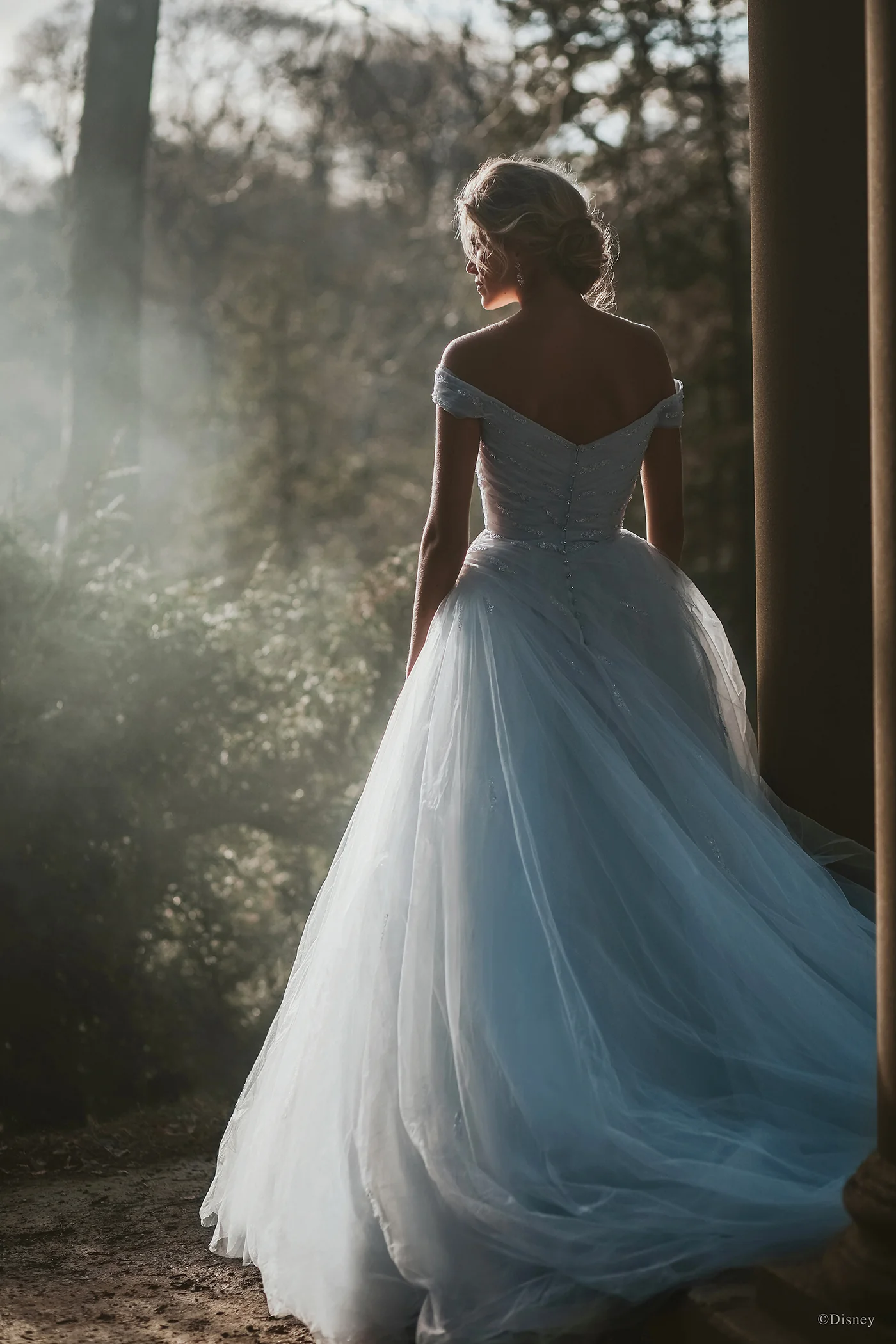 D283 - Cinderella - Image 7