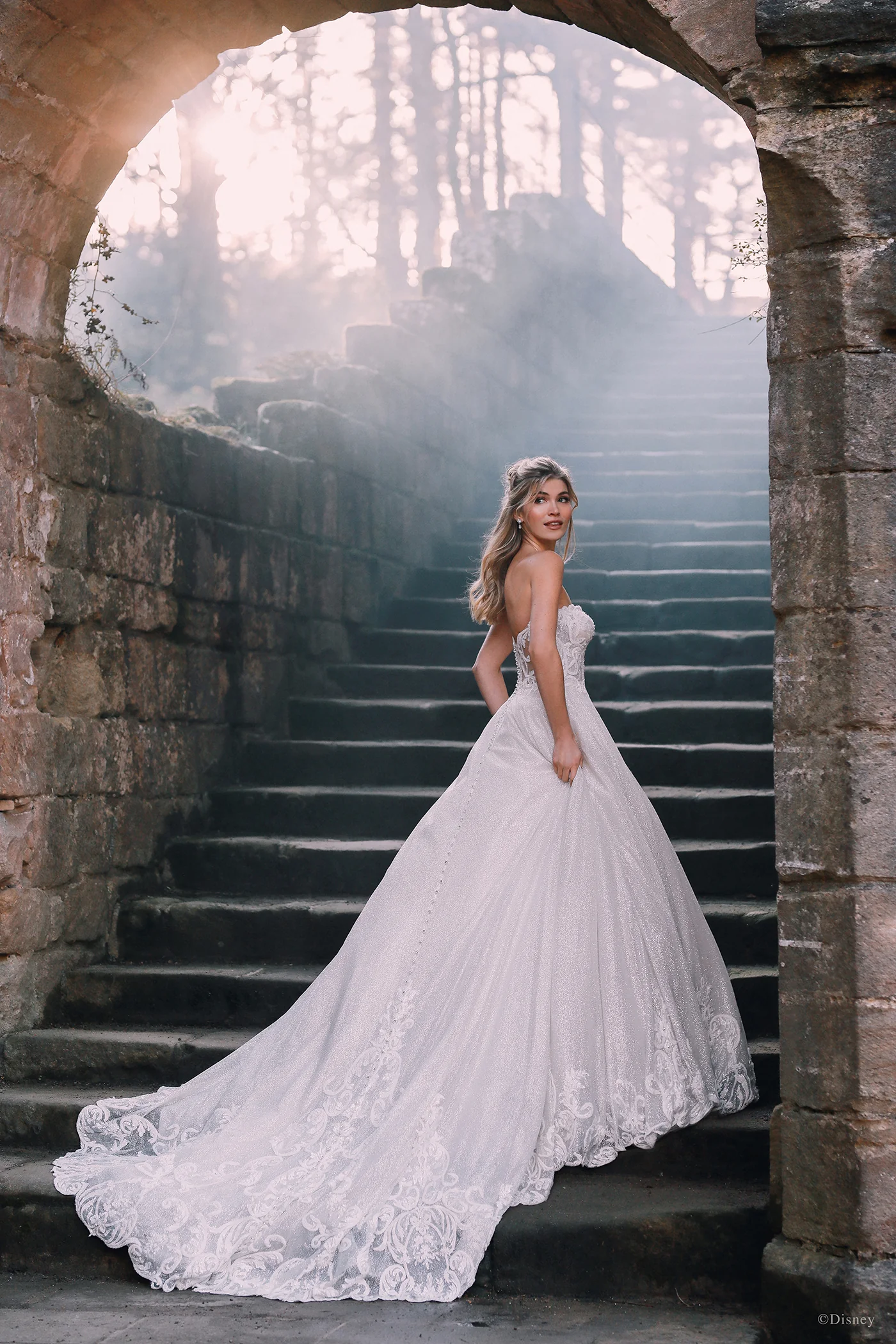 D293 - Cinderella - Image 10