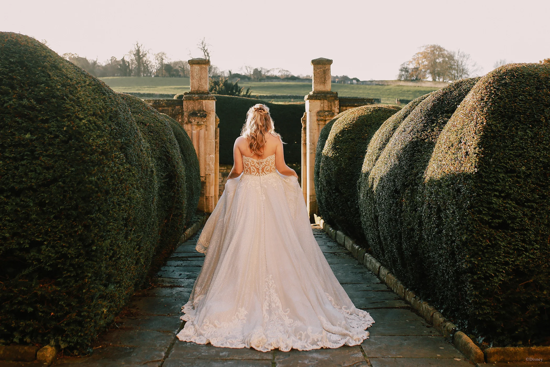 D293 - Cinderella - Image 12