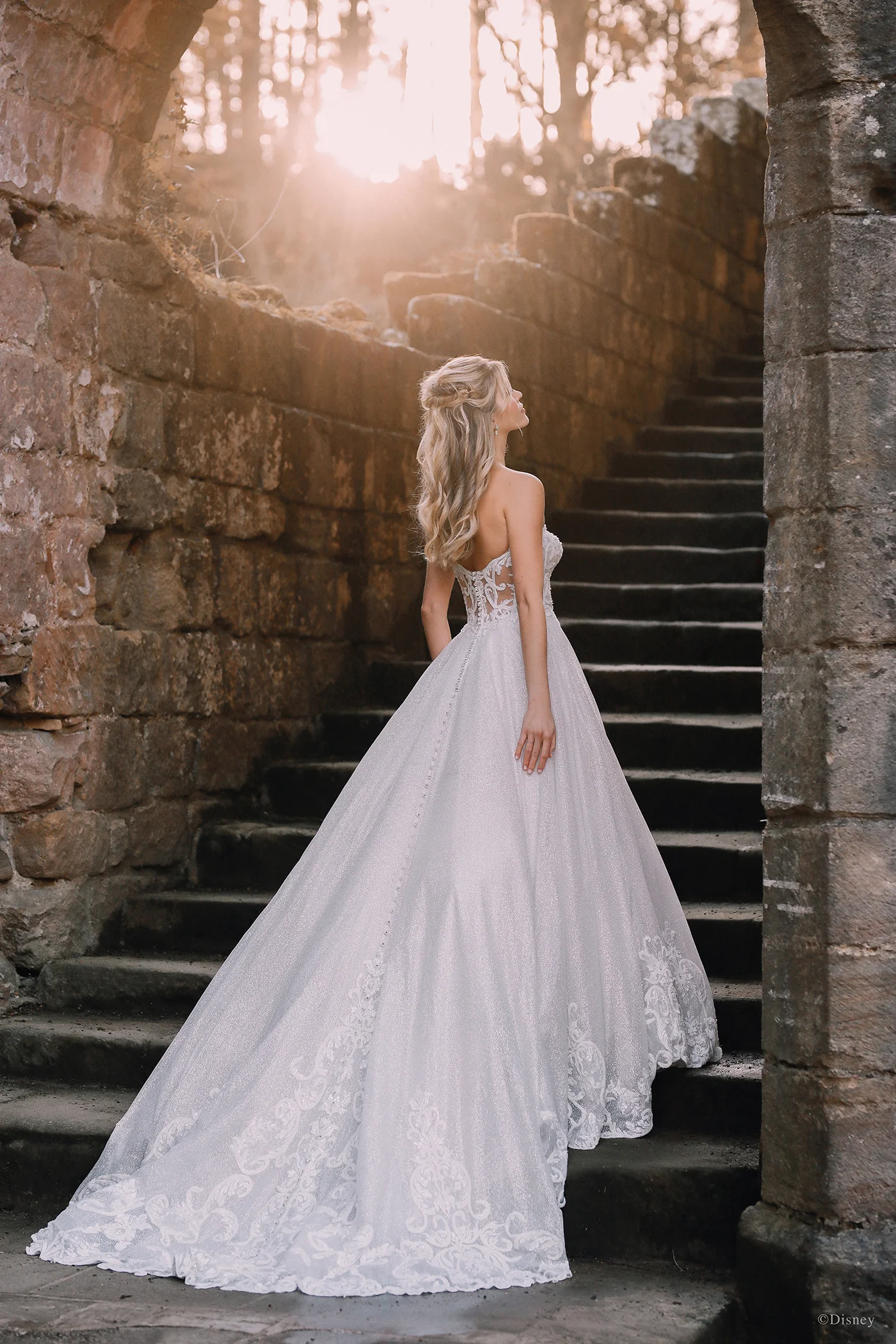 D293 - Cinderella - Image 3