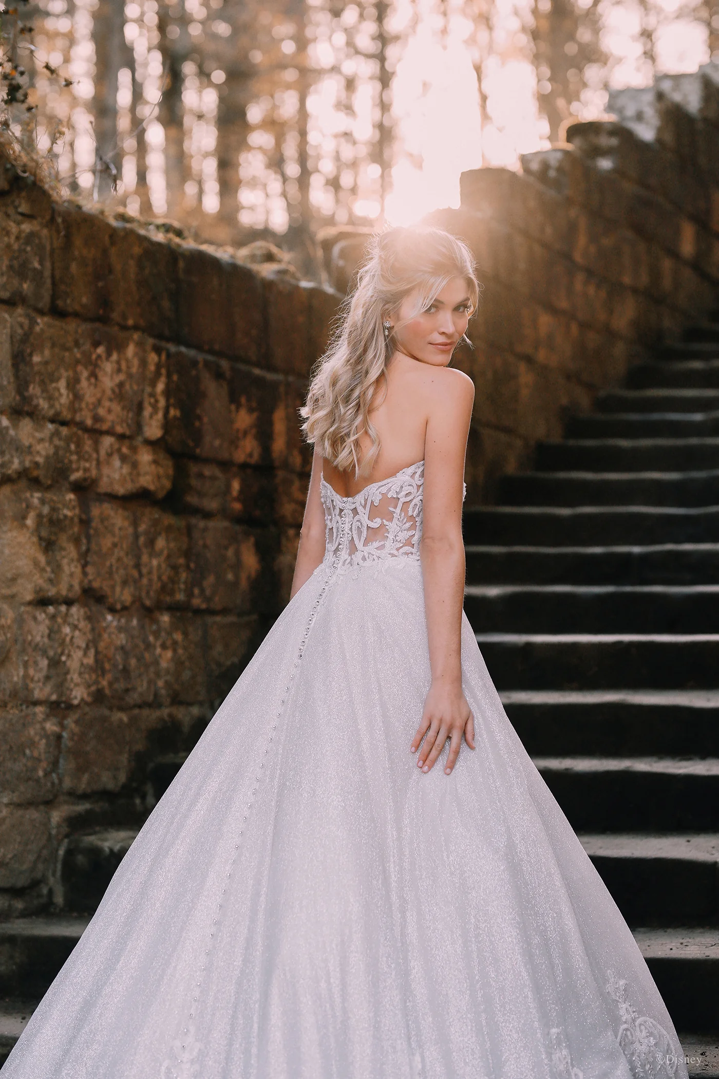 D293 - Cinderella - Image 4