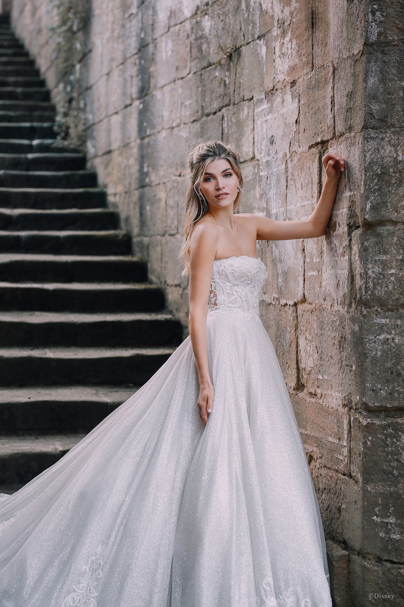 D293 - Cinderella - Image 7