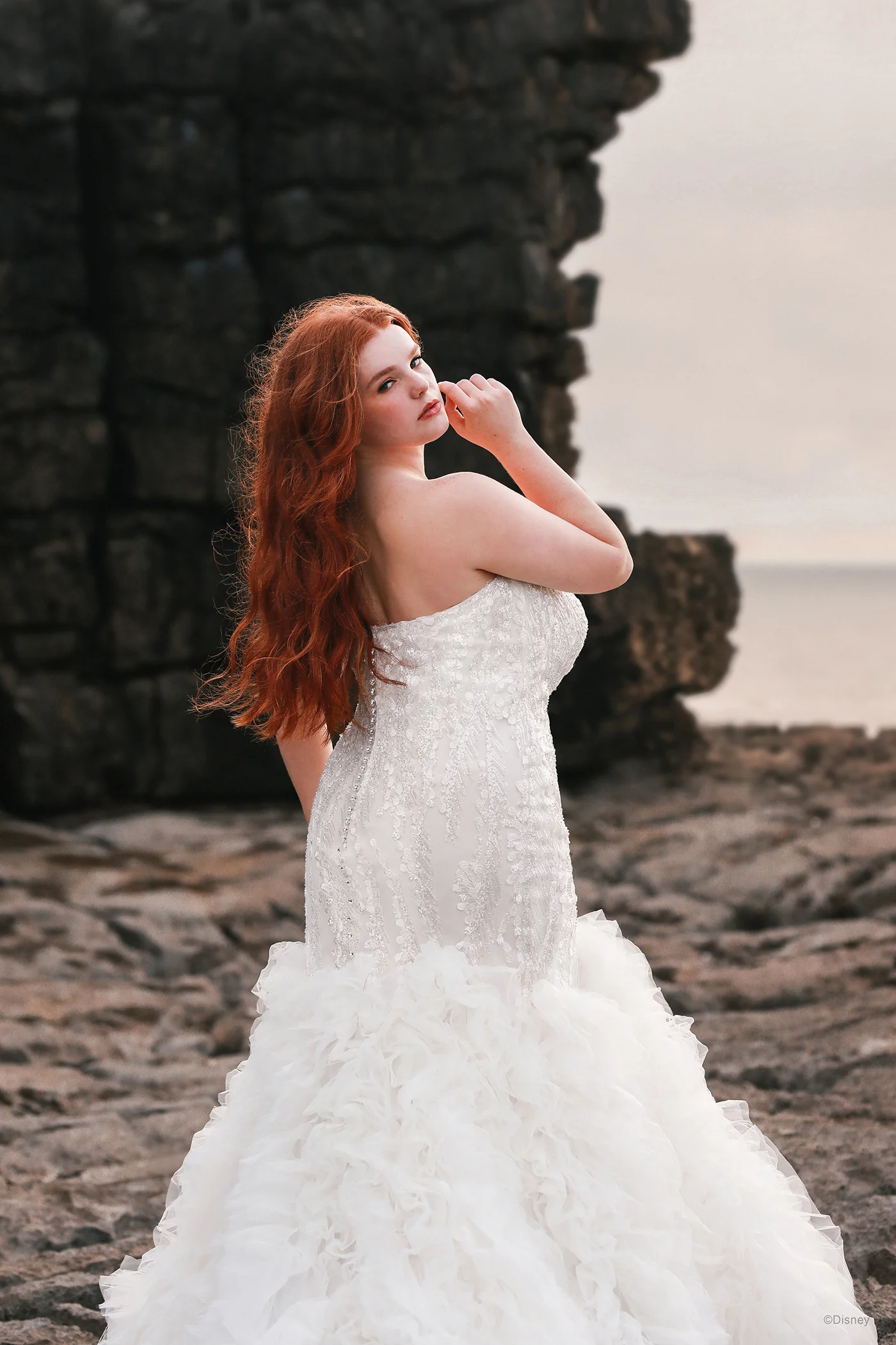 D310 - Ariel - Image 6