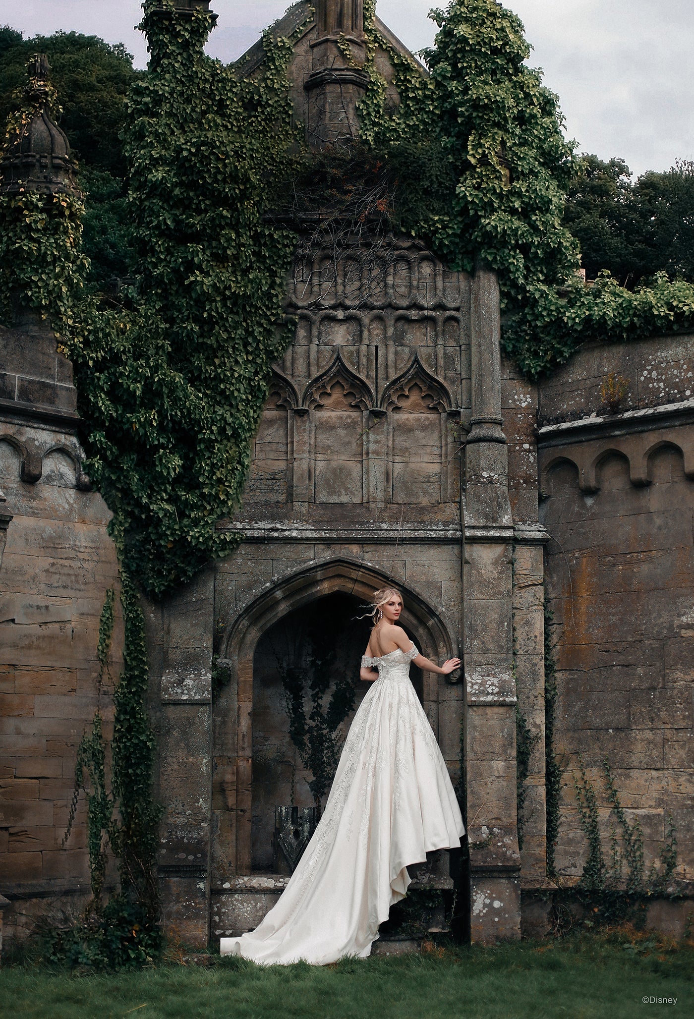 D323 - Cinderella - Image 3