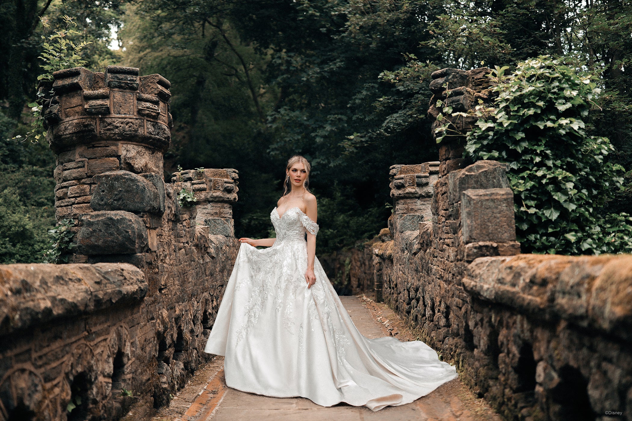 D323 - Cinderella - Image 5