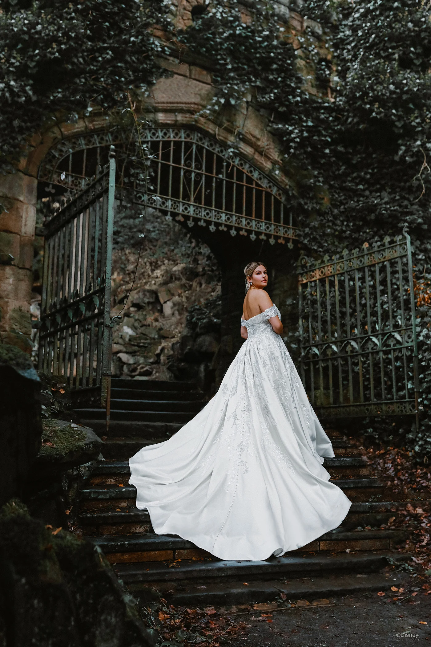 D323 - Cinderella - Image 7