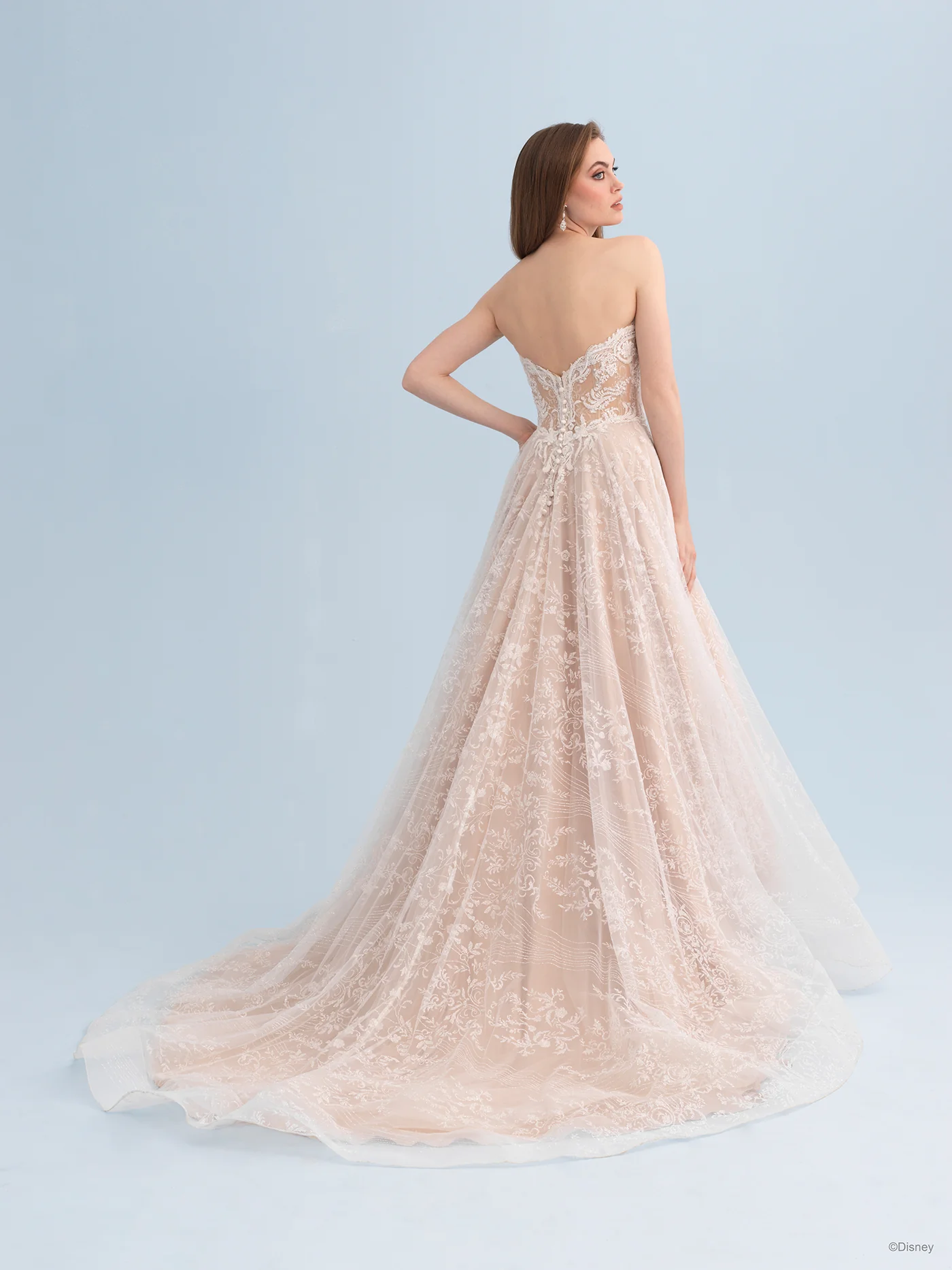 D363L - Cinderella - Image 5