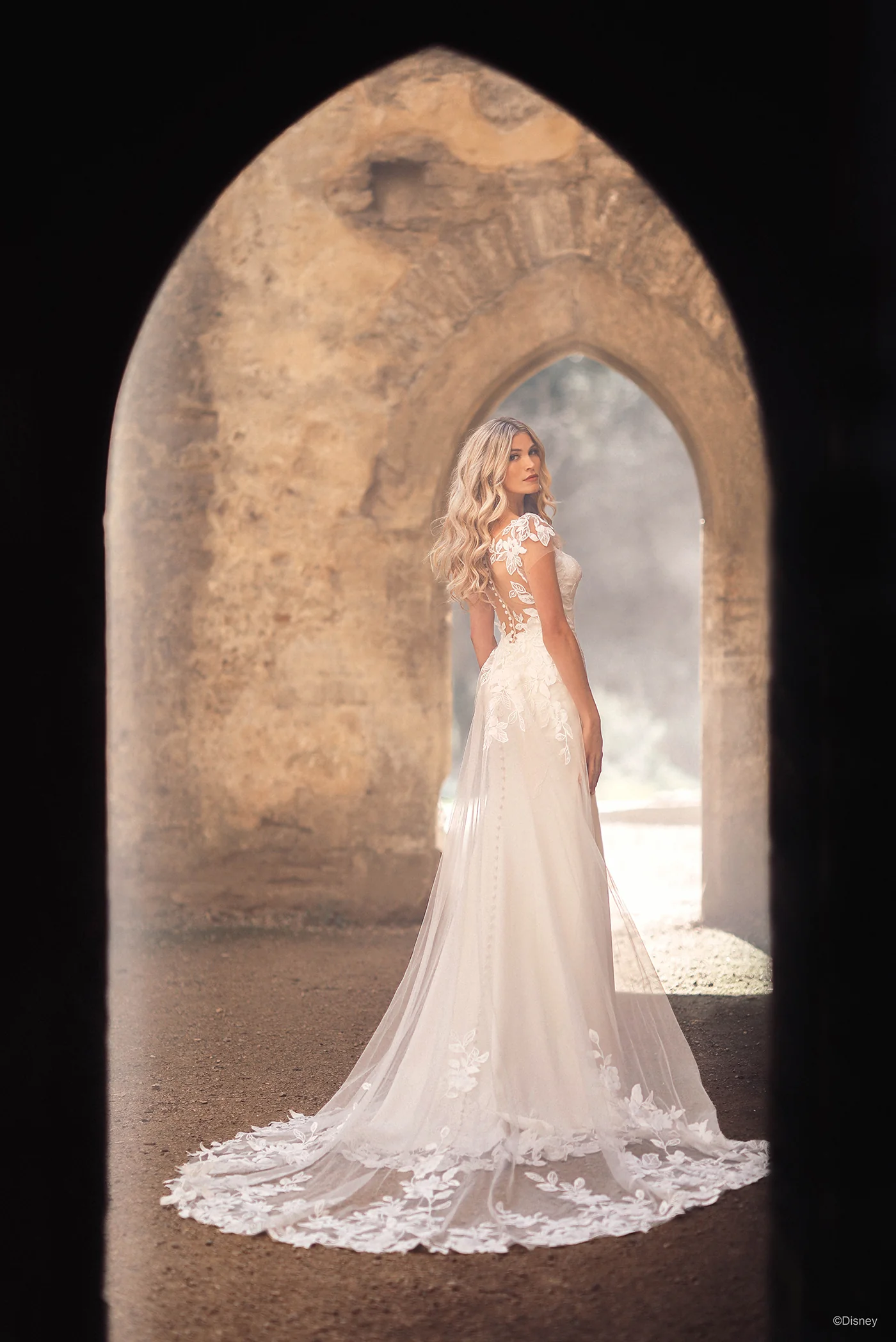 D366T - Rapunzel Train - Image 3