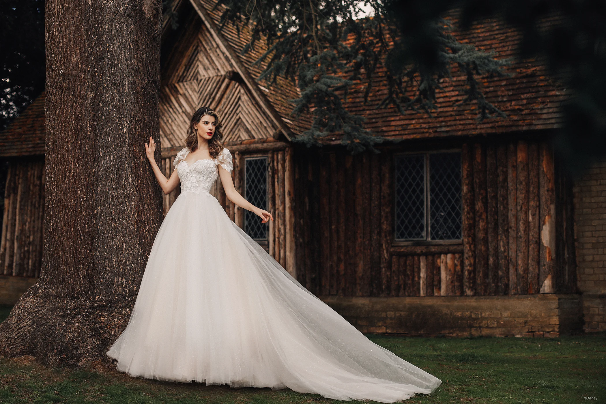 D367 - Snow White - Image 6
