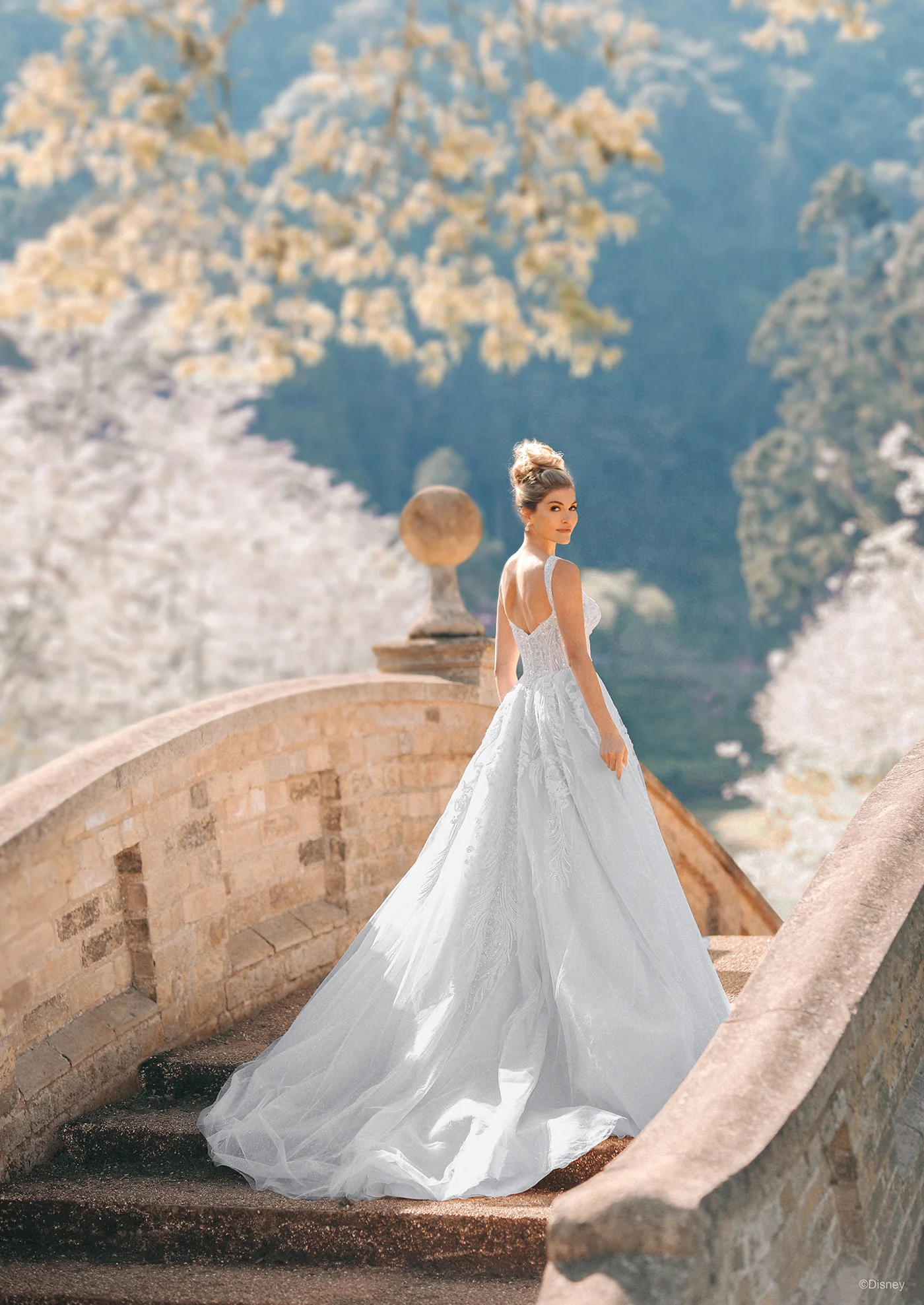 D373 - Cinderella - Image 3