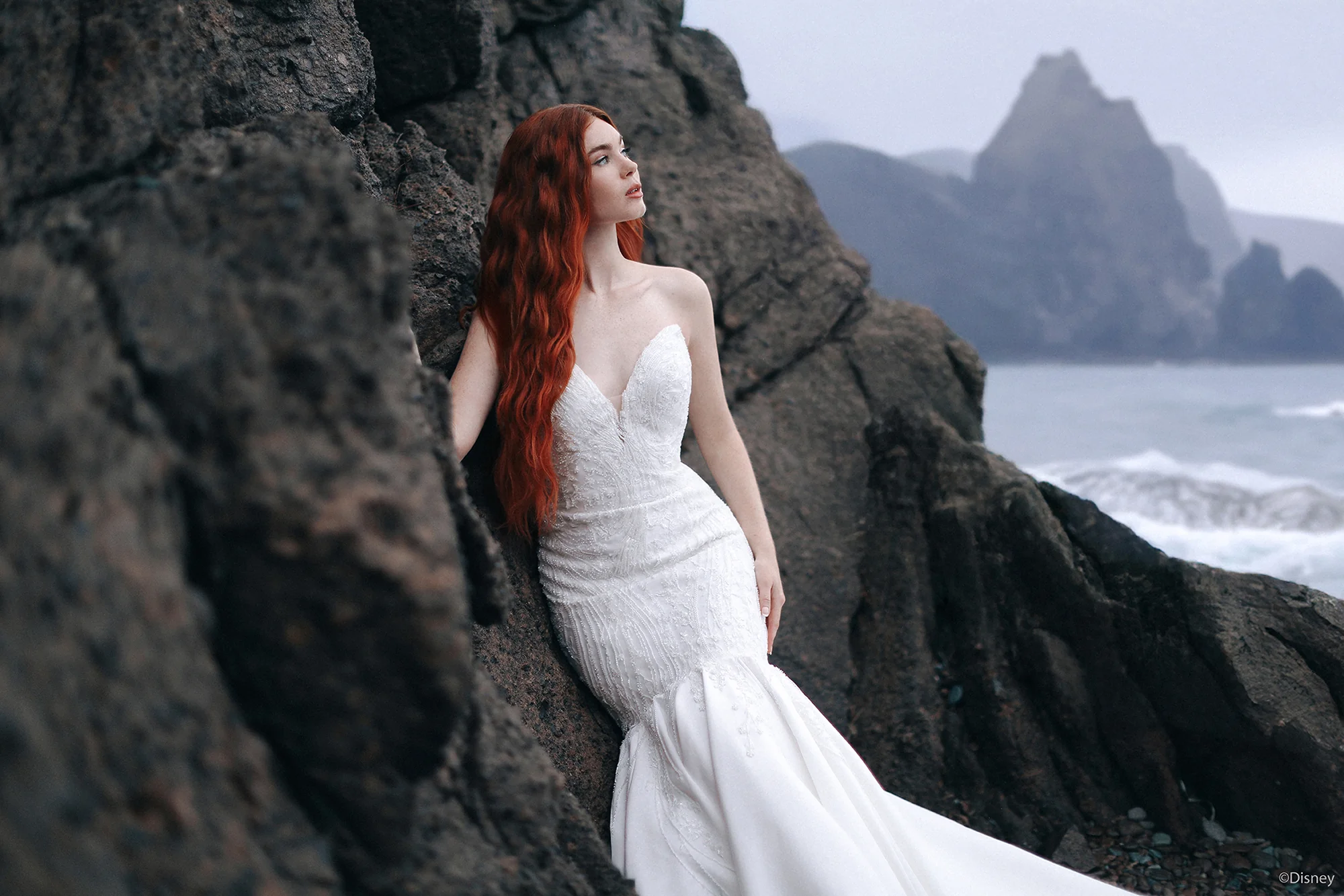 D430 - Ariel - Image 3