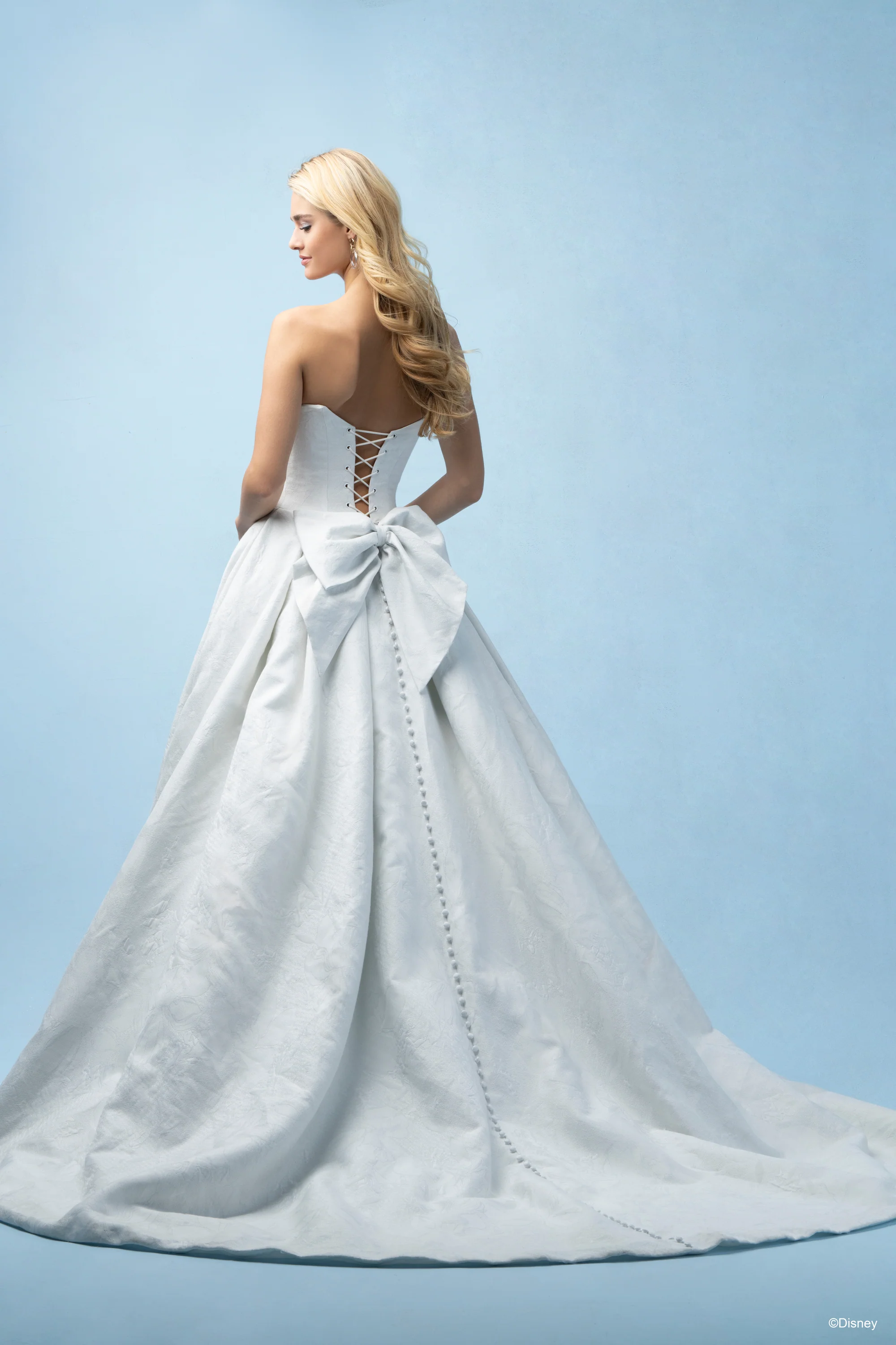D433 - Cinderella - Image 10