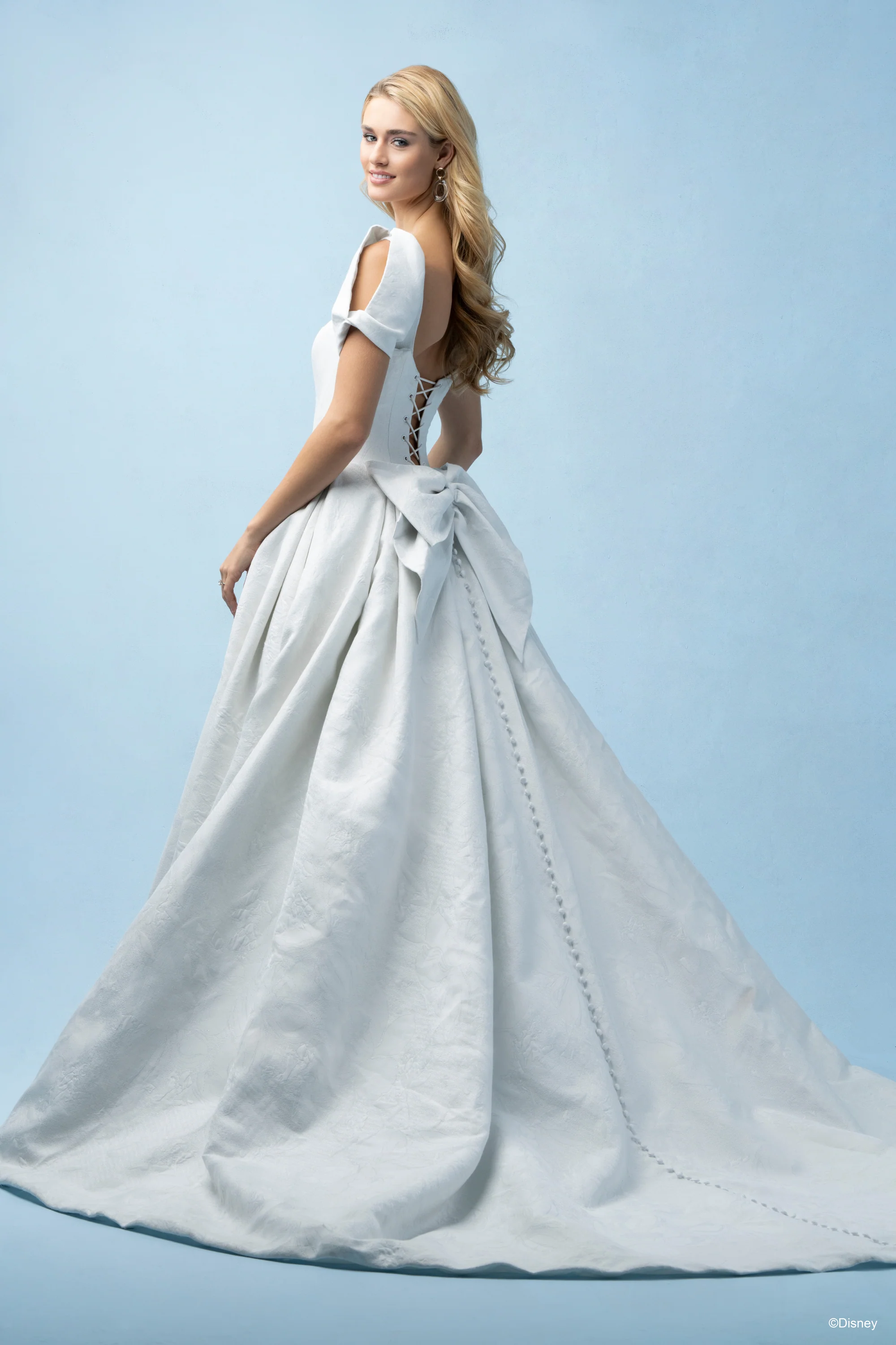 D433 - Cinderella - Image 11