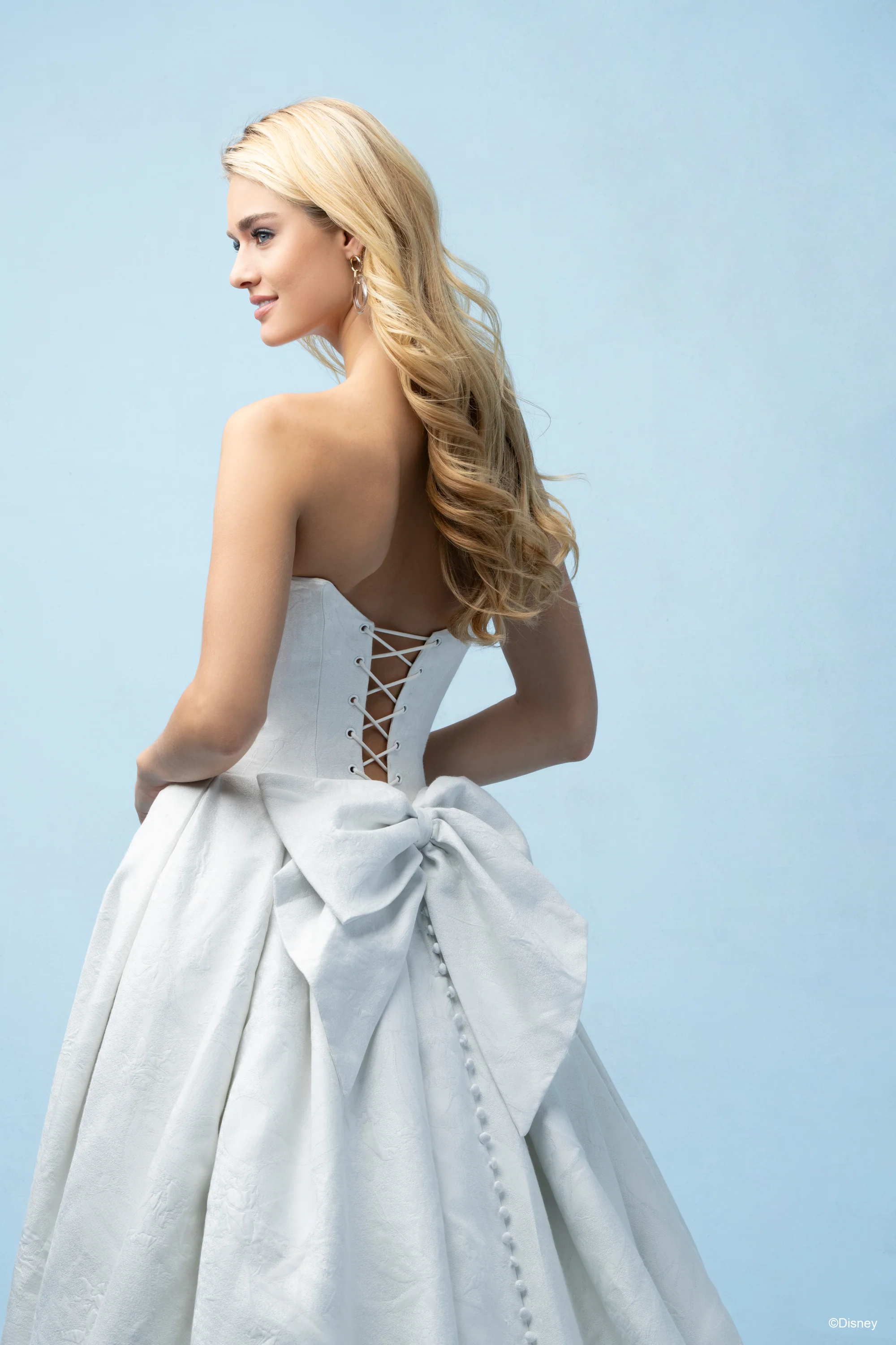 D433 - Cinderella - Image 12