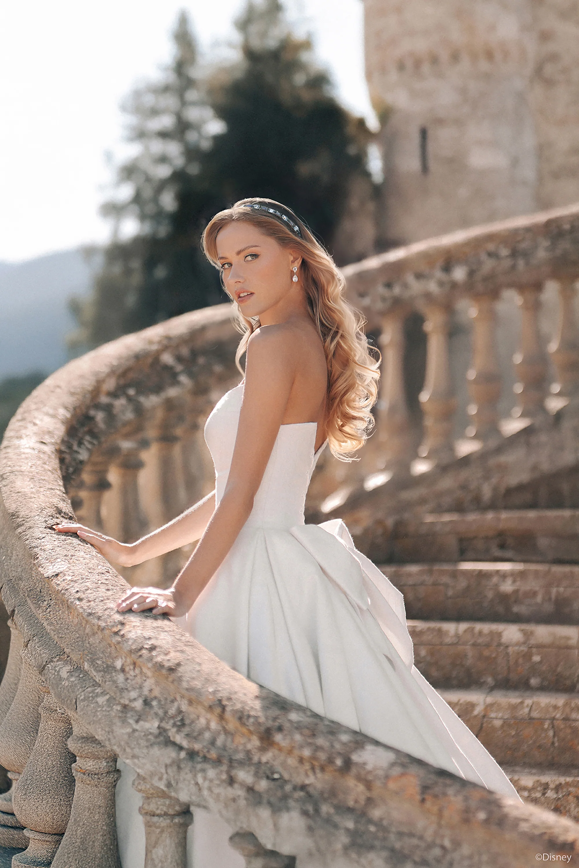 D433 - Cinderella - Image 3