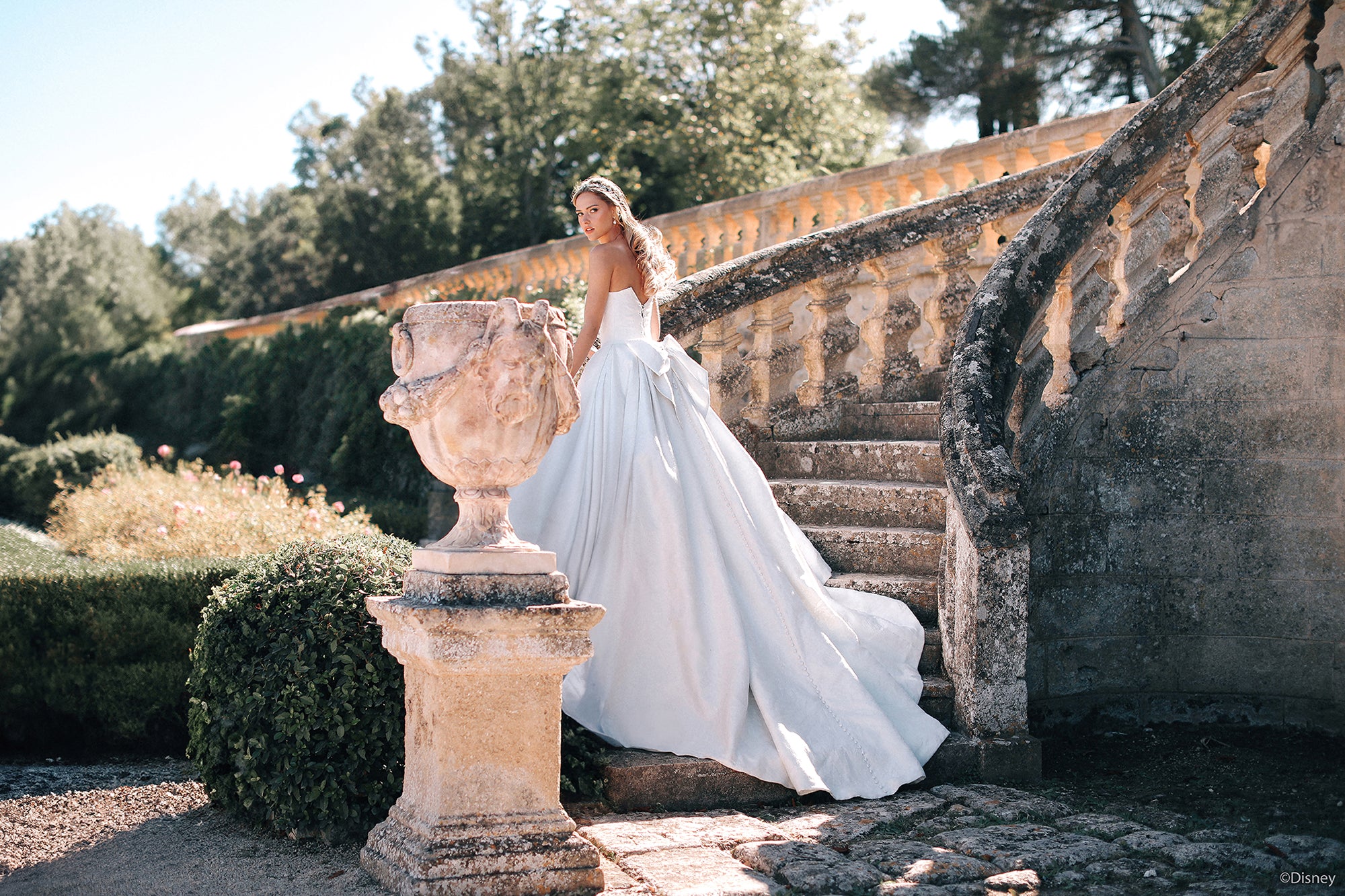 D433 - Cinderella - Image 4