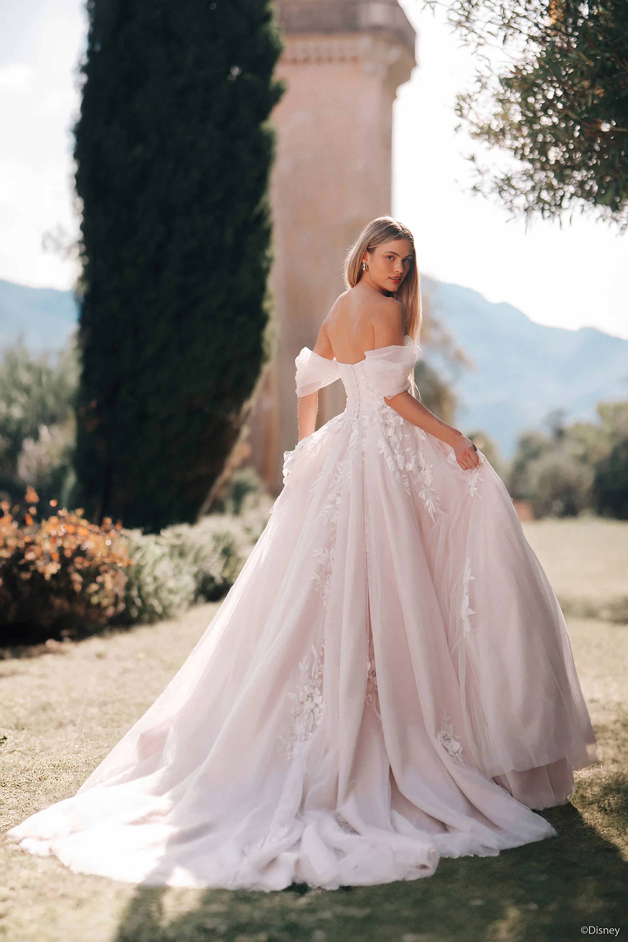 D436 - Rapunzel - Image 3