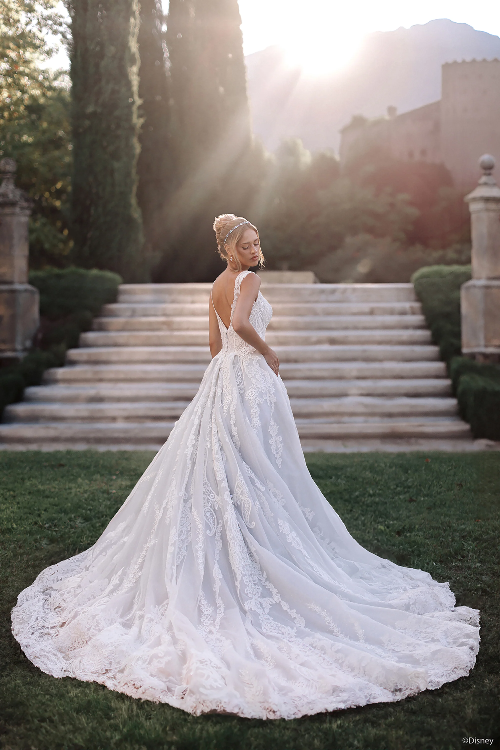 D443 - Cinderella - Image 10