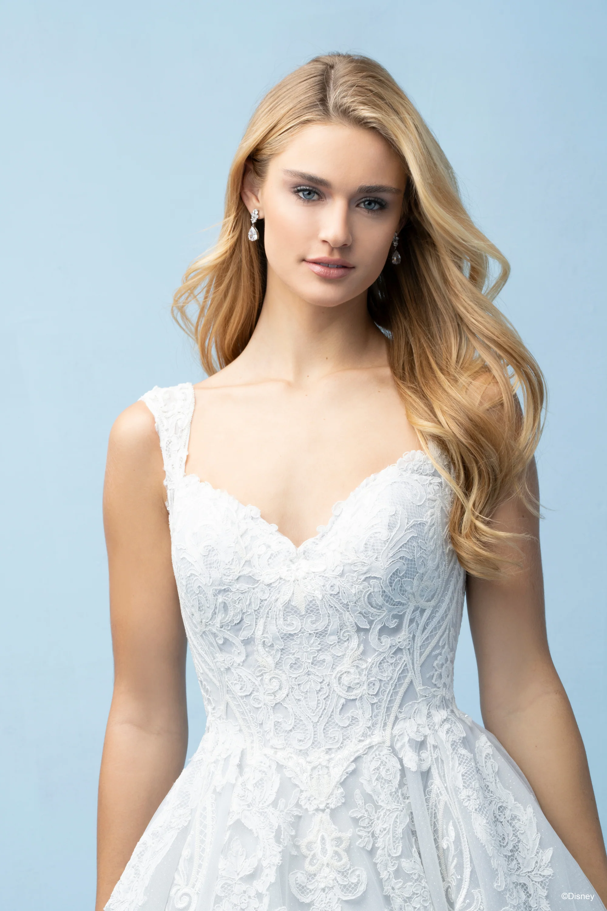 D443 - Cinderella - Image 14