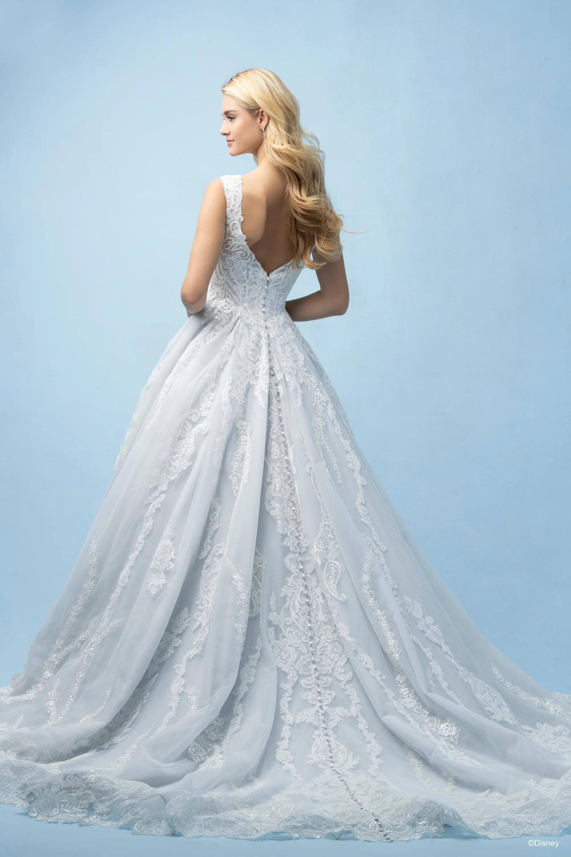 D443 - Cinderella - Image 15