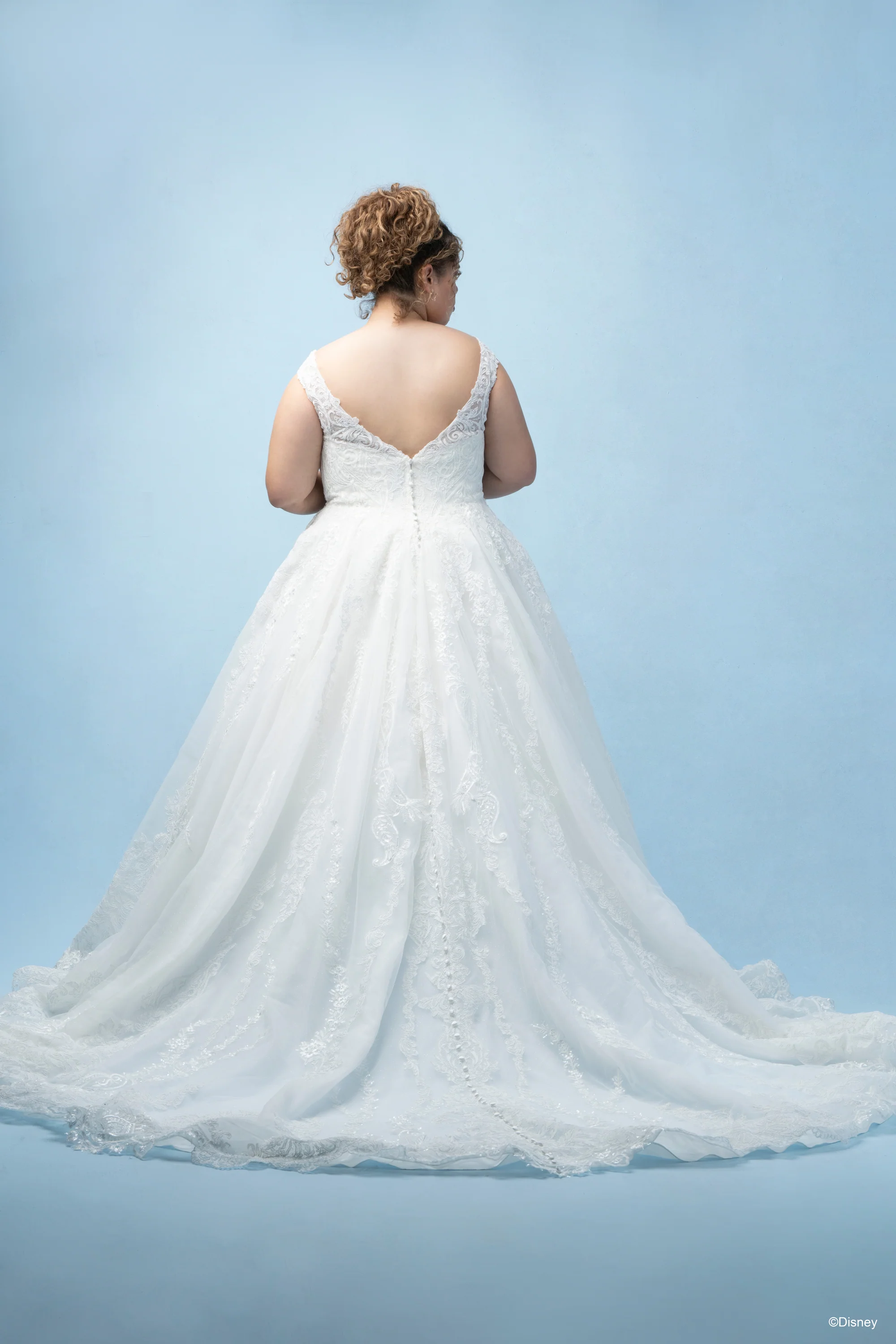 D443 - Cinderella - Image 17
