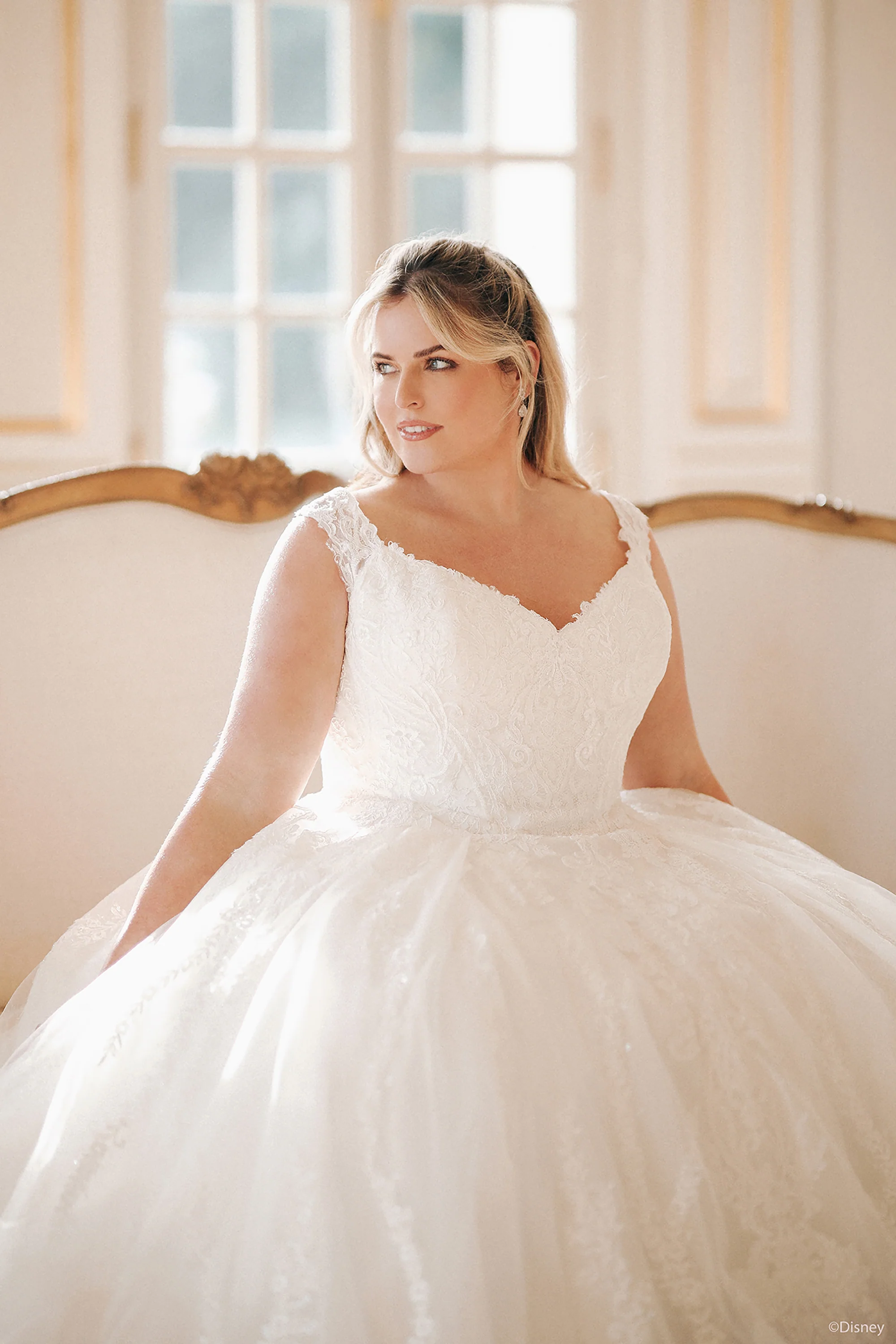 D443 - Cinderella - Image 3