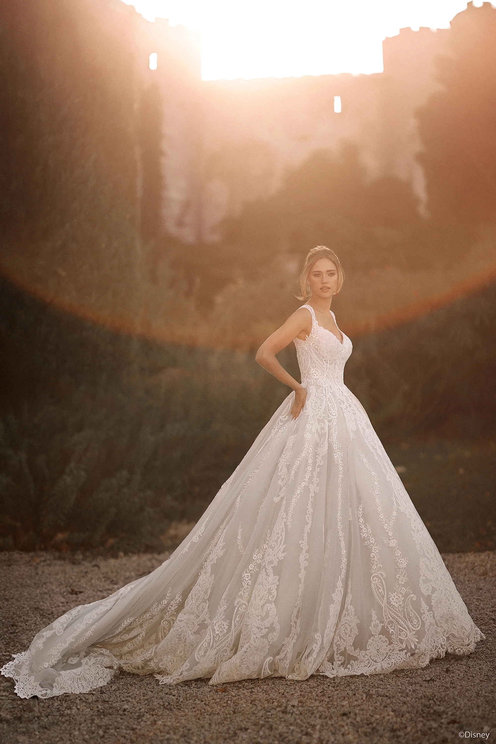 D443 - Cinderella - Image 4
