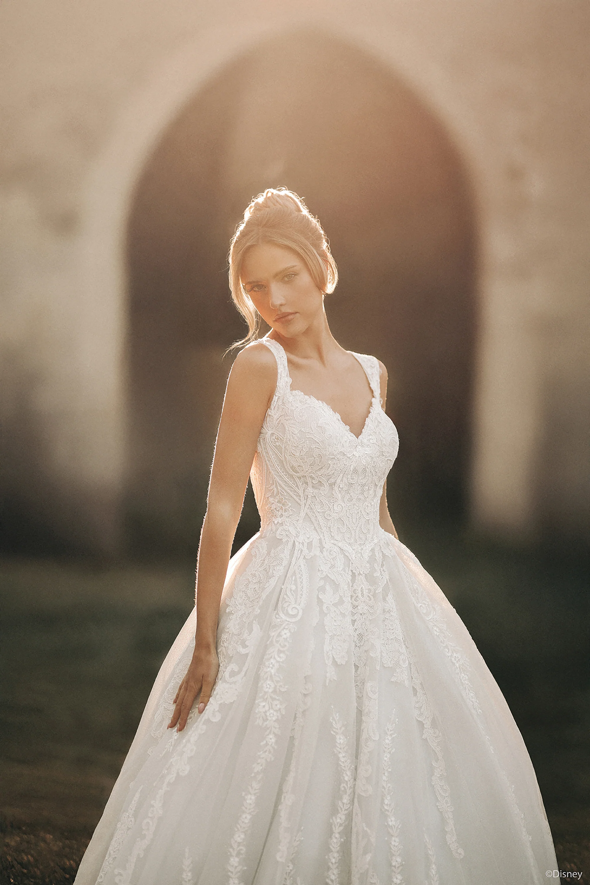 D443 - Cinderella - Image 5