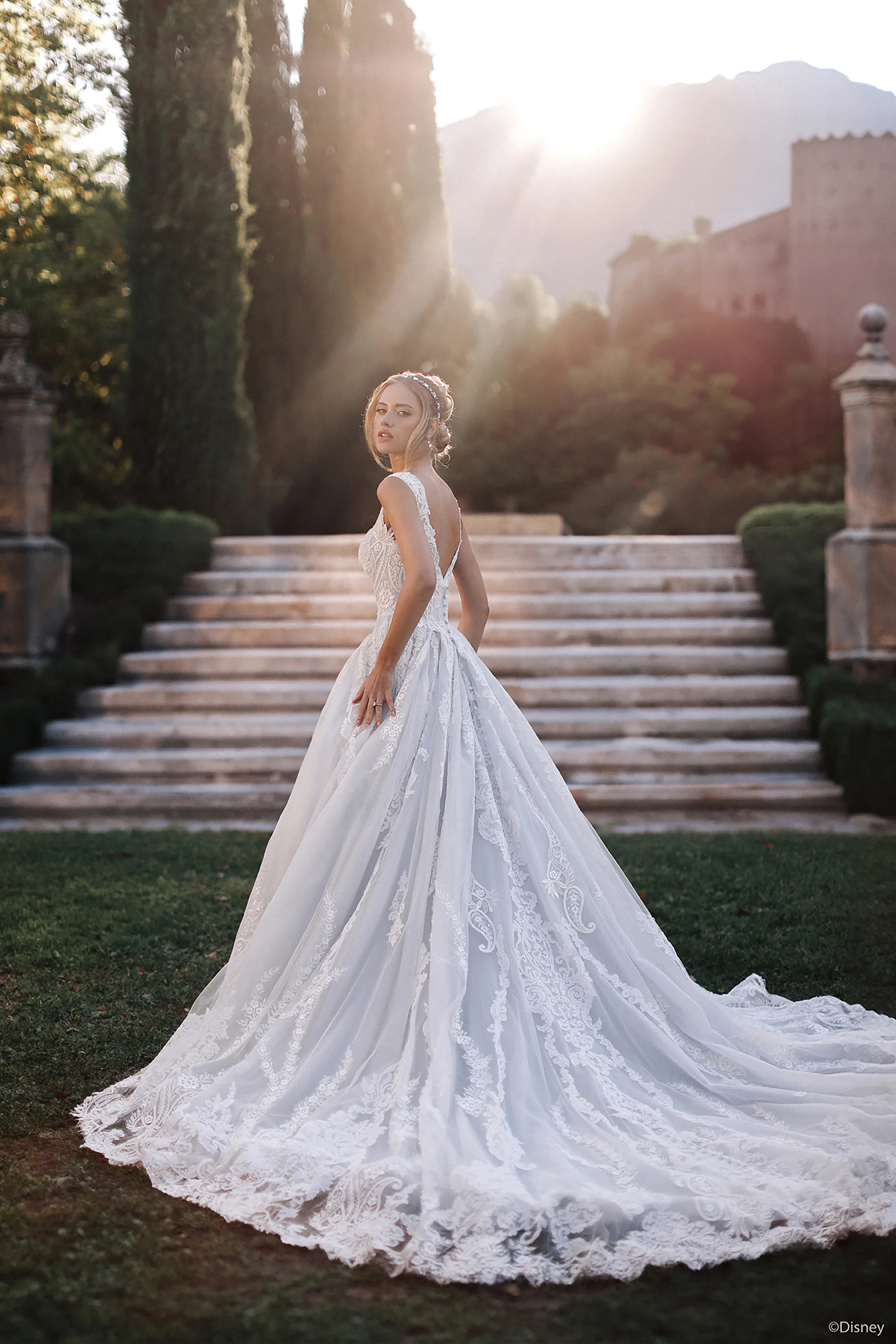 D443 - Cinderella - Image 6