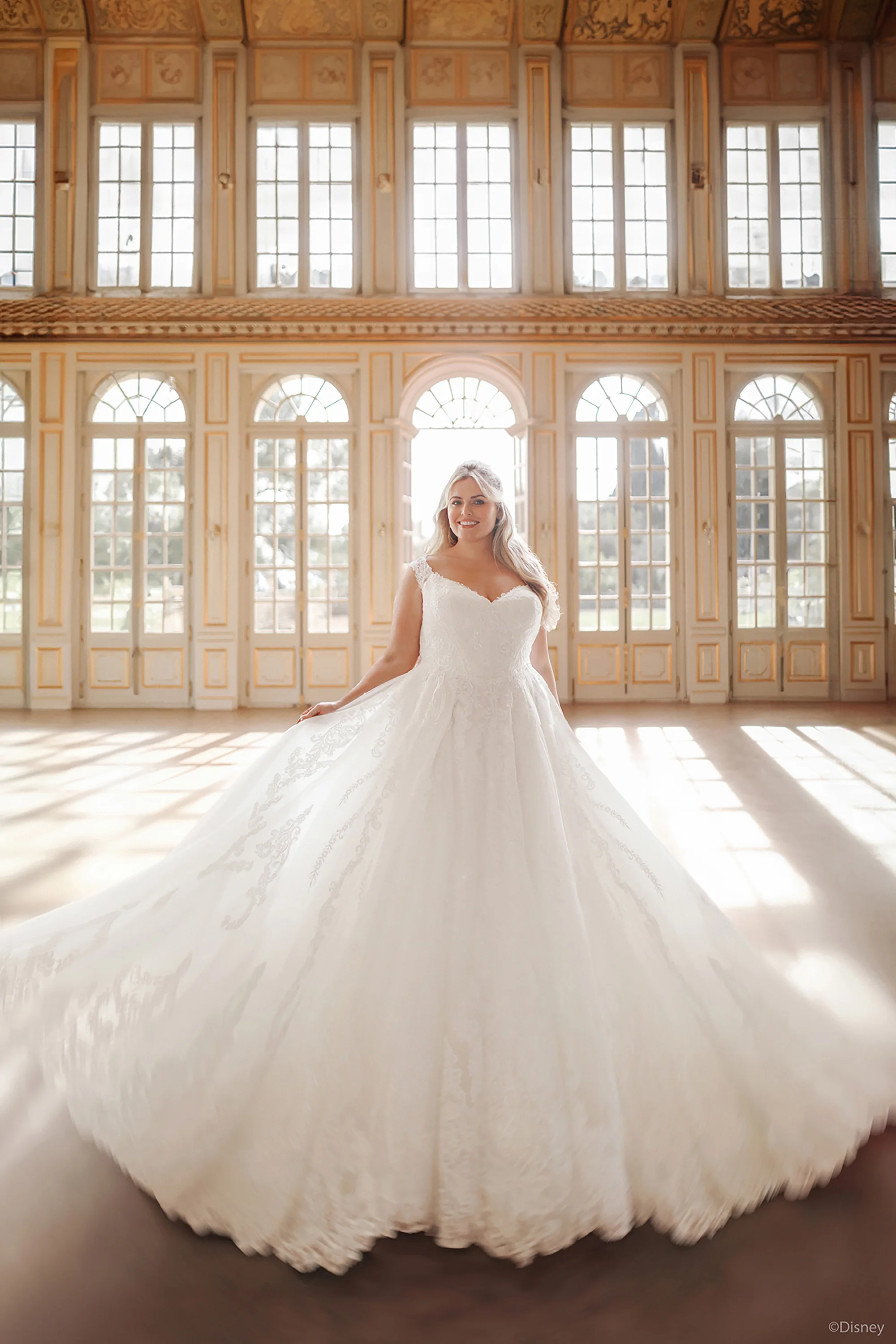 D443 - Cinderella - Image 7