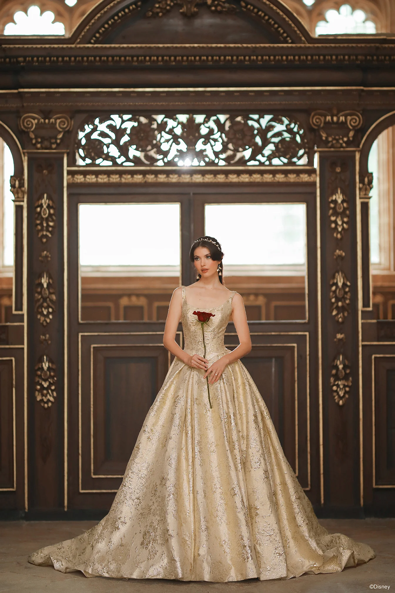 Princess Wedding Dresses