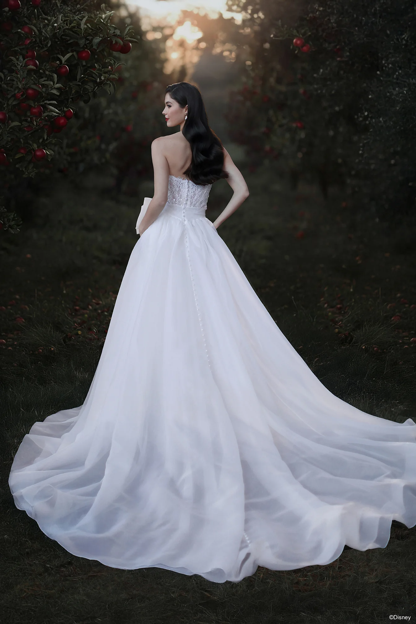 D477T - Snow White Train - Image 3