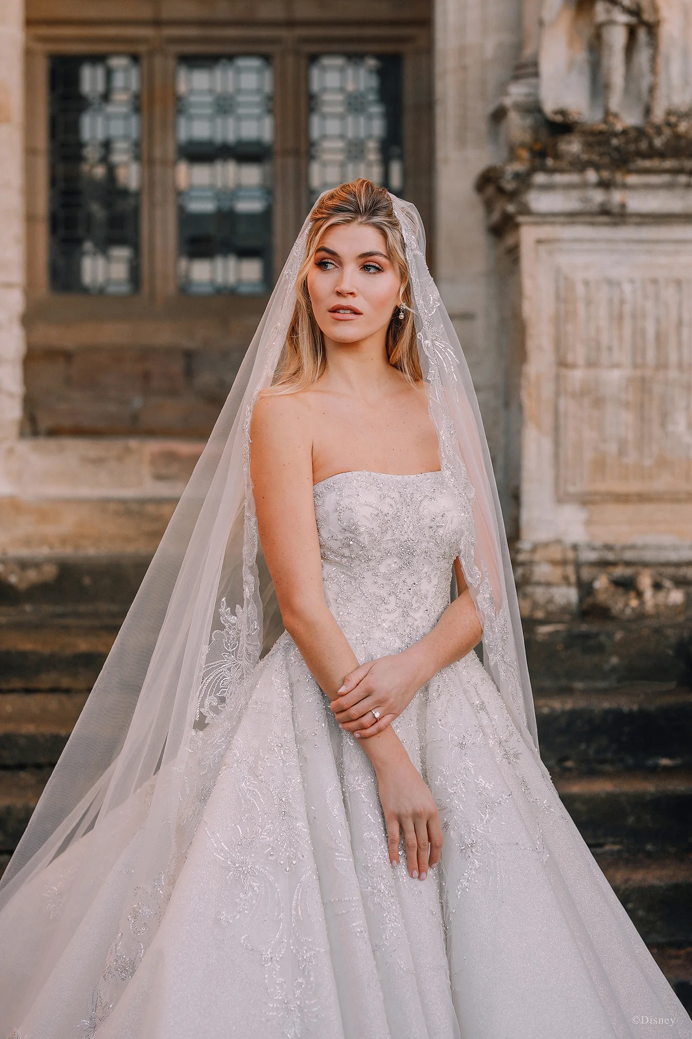 DP273 - Cinderella - Image 6