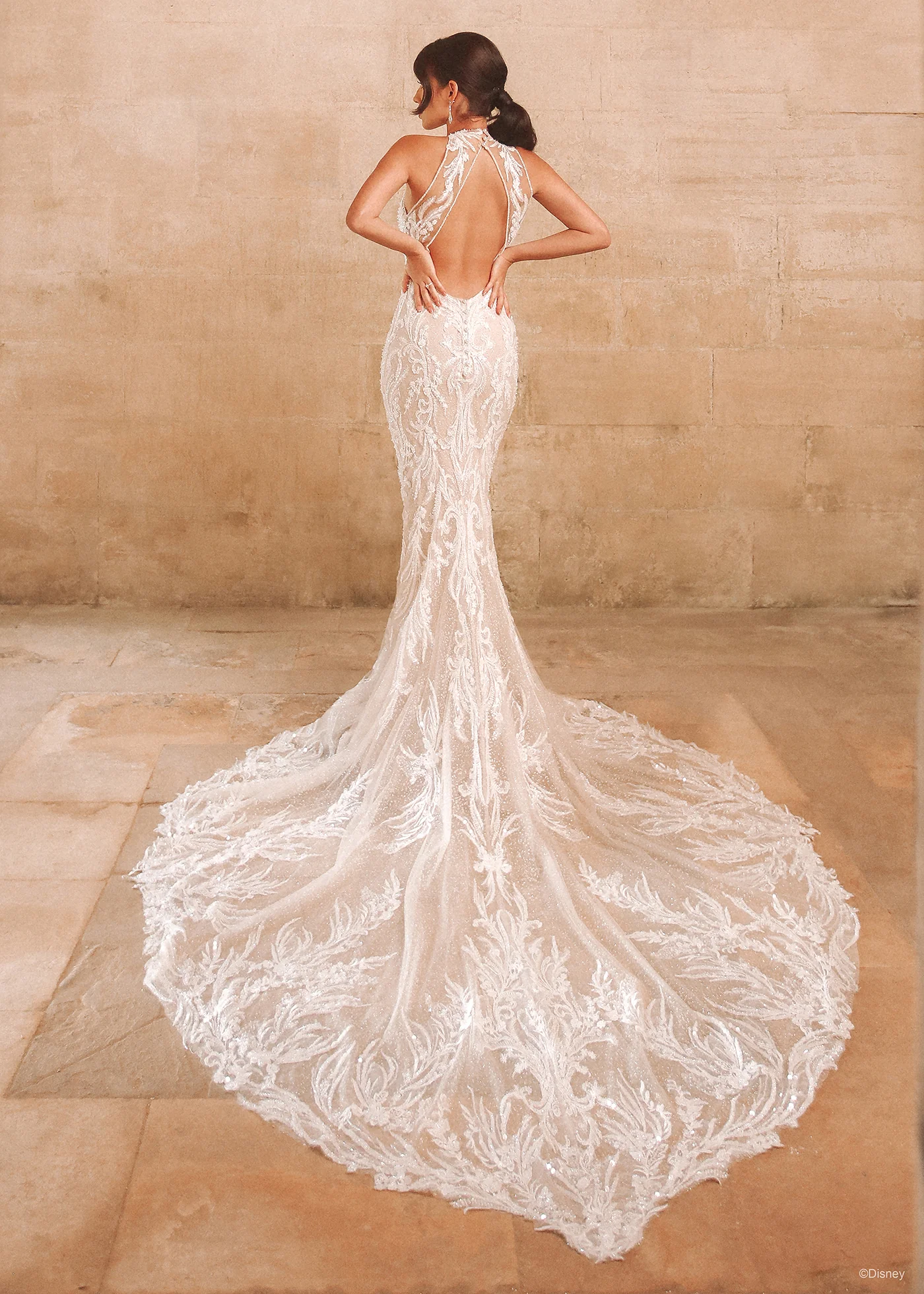 DP354 - Jasmine - Image 4