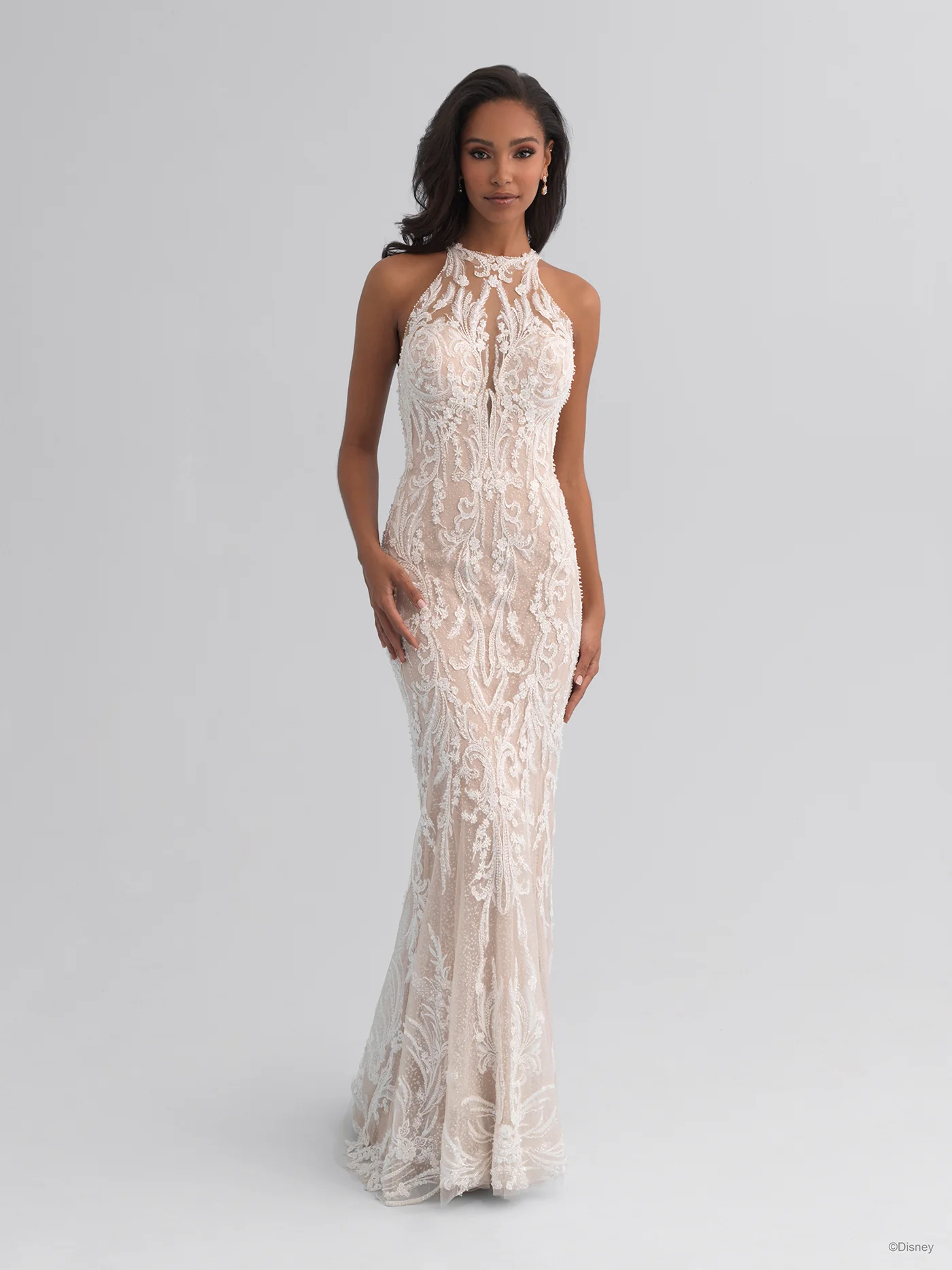 DP354 - Jasmine - Image 6