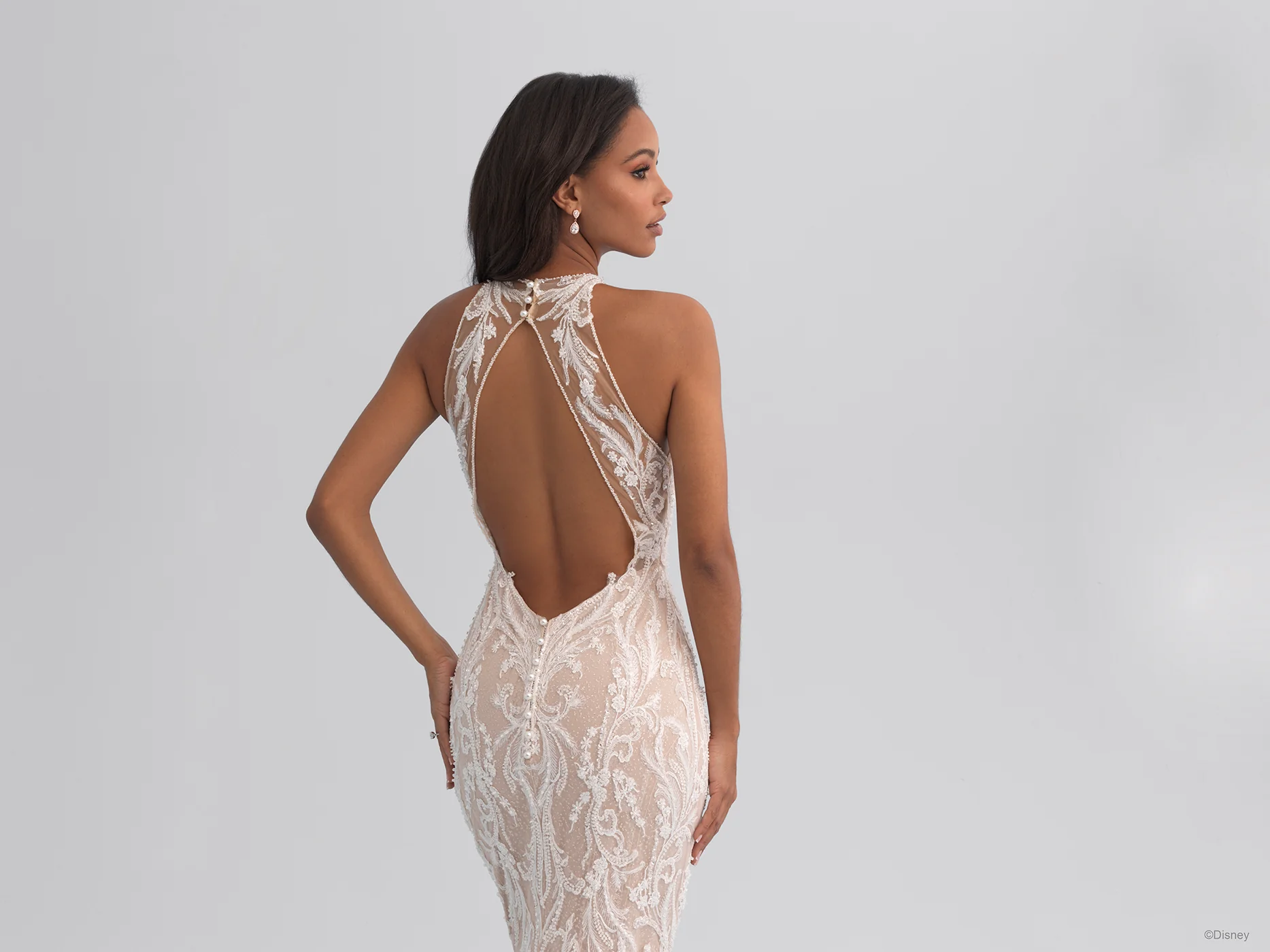 DP354 - Jasmine - Image 9
