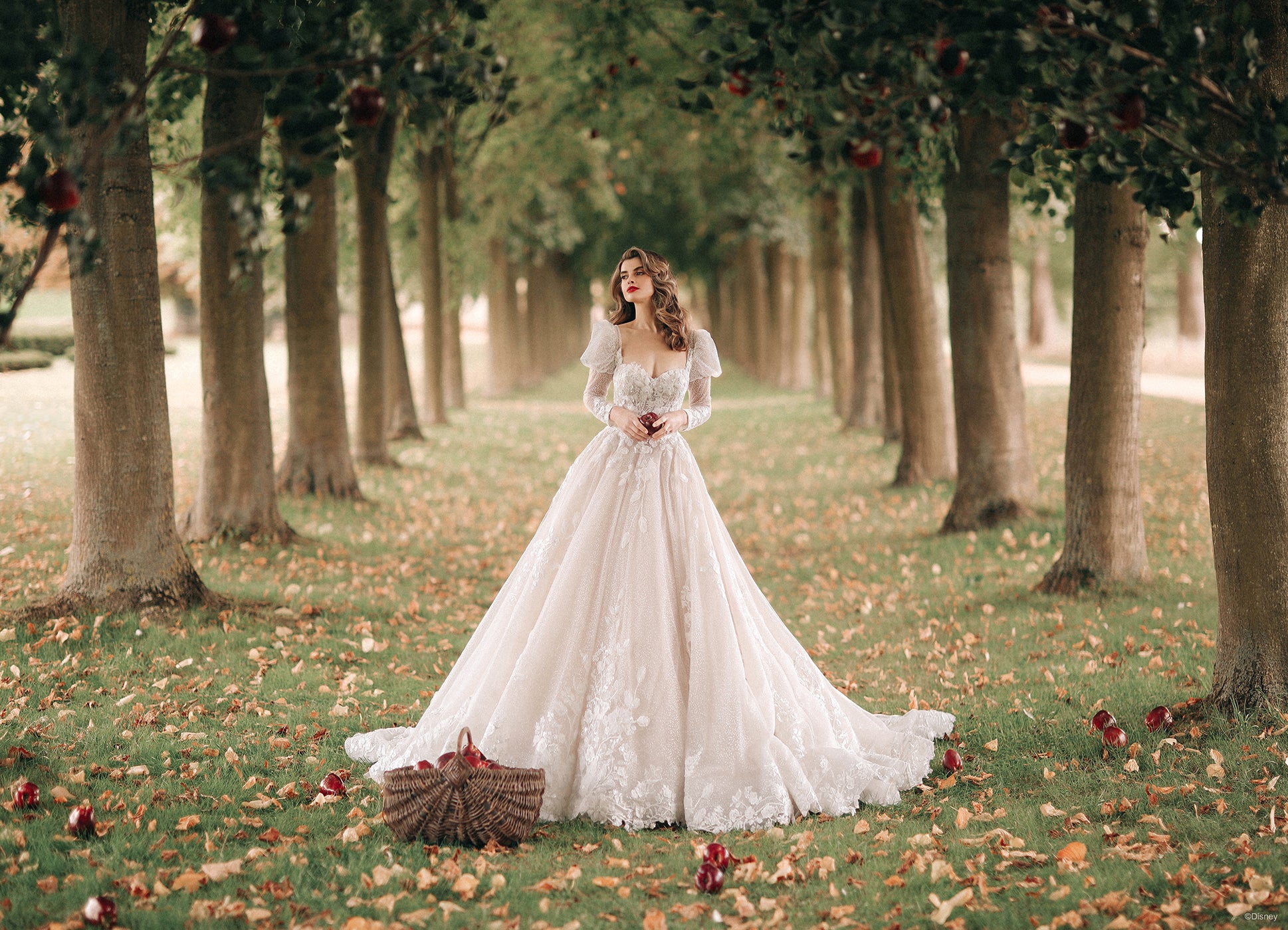 DP357 - Snow White - Image 8