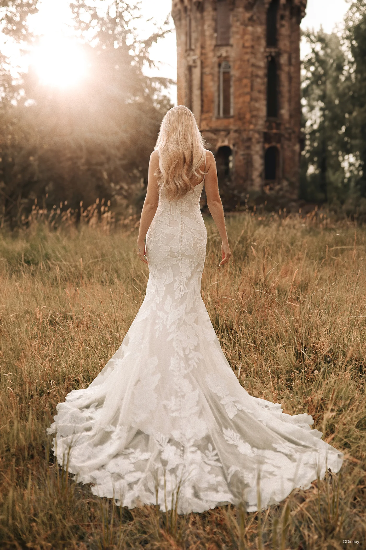 DP406 - Rapunzel - Image 2