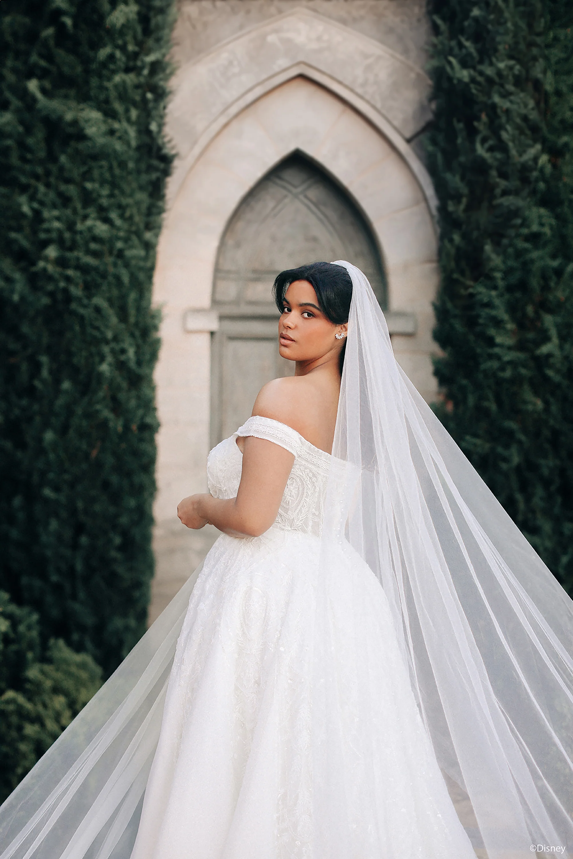 DP424 - Jasmine - Image 6