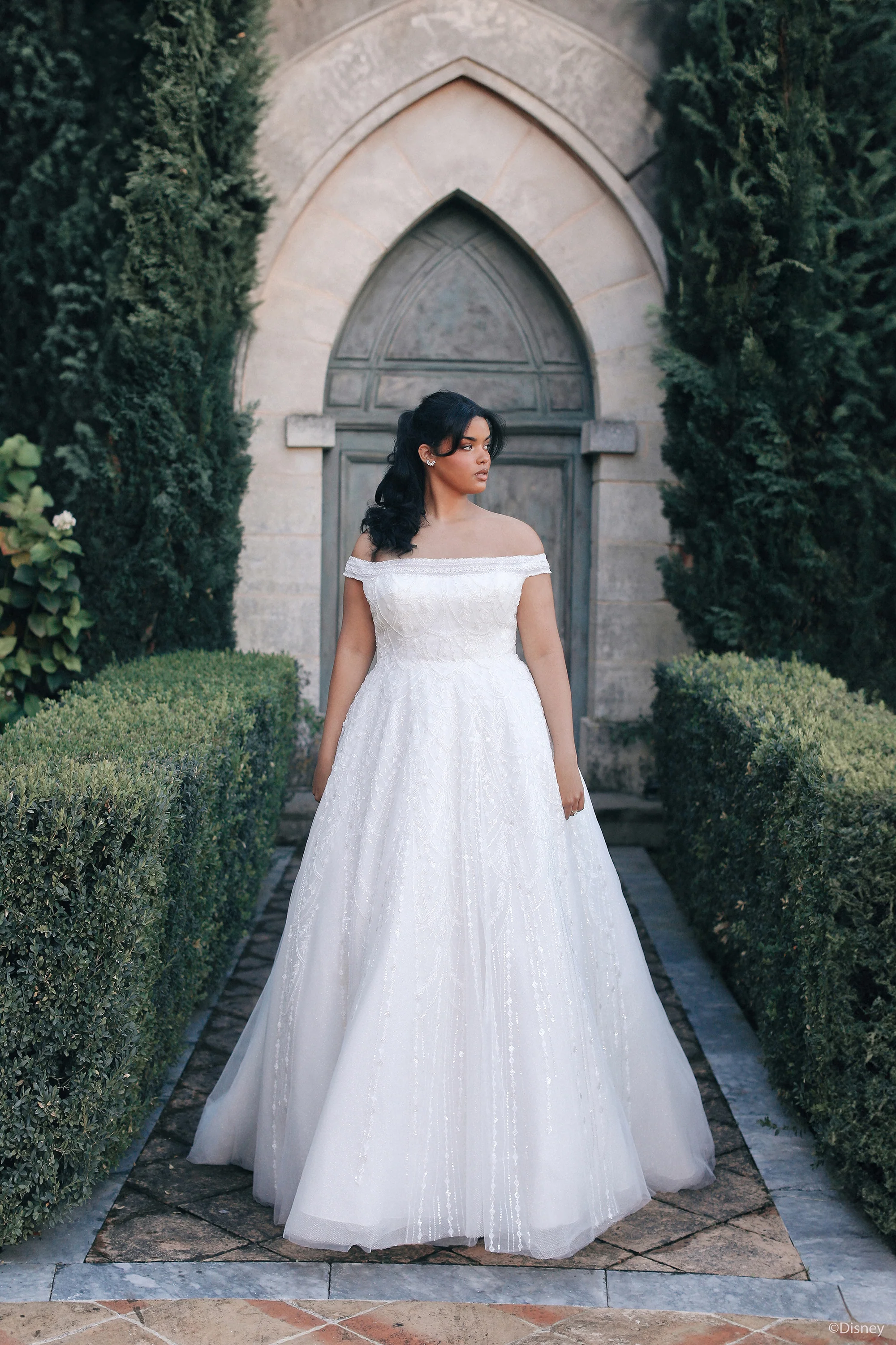 DP424 - Jasmine - Image 7