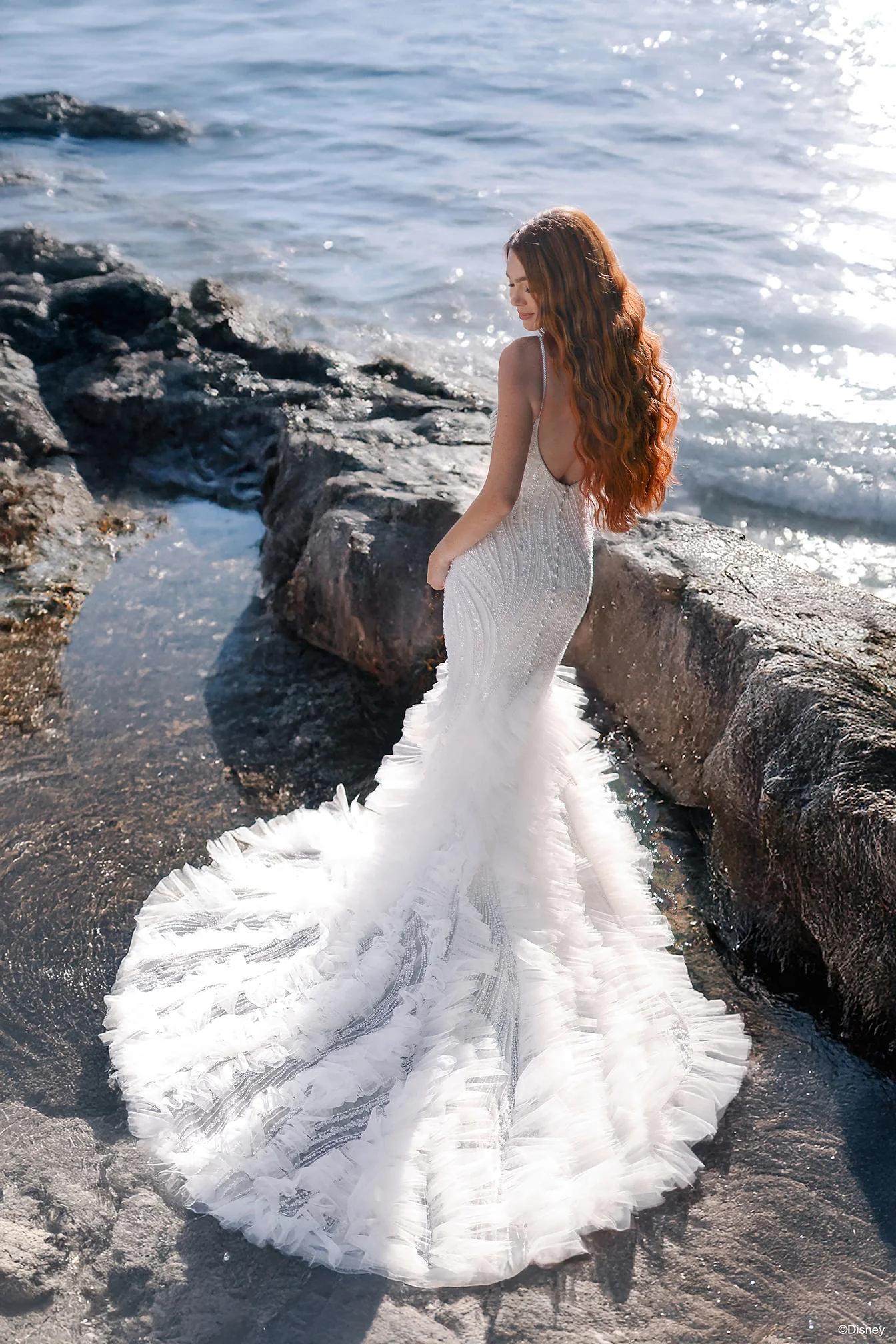DP450 - Ariel - Image 4