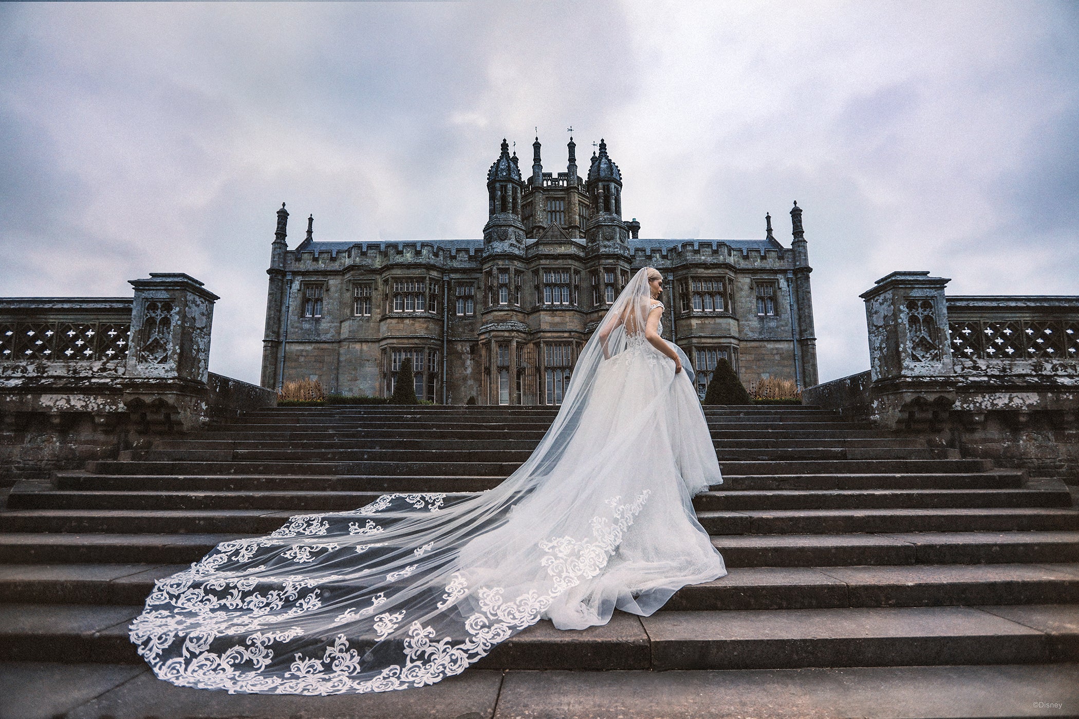 D313 - Cinderella - Image 4