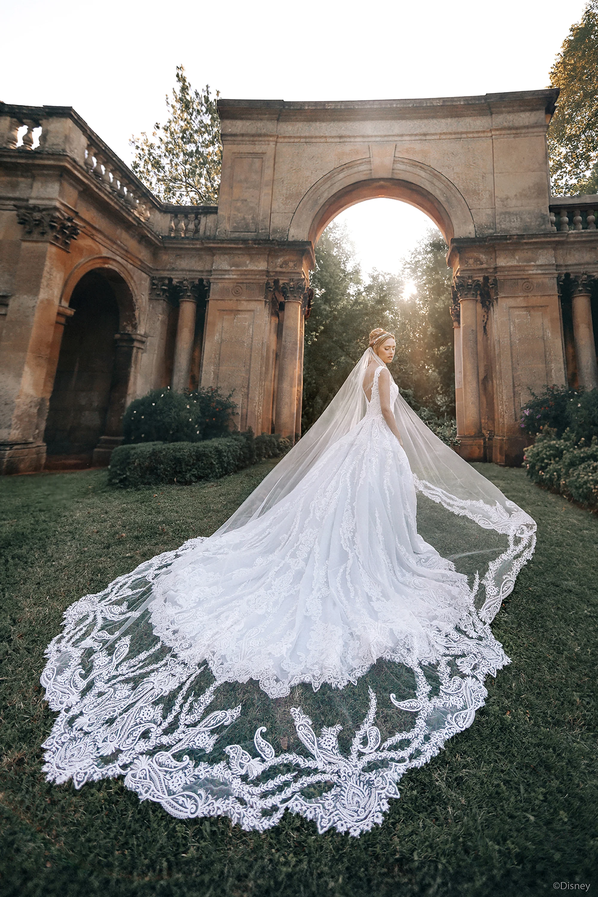 D443 - Cinderella - Image 12