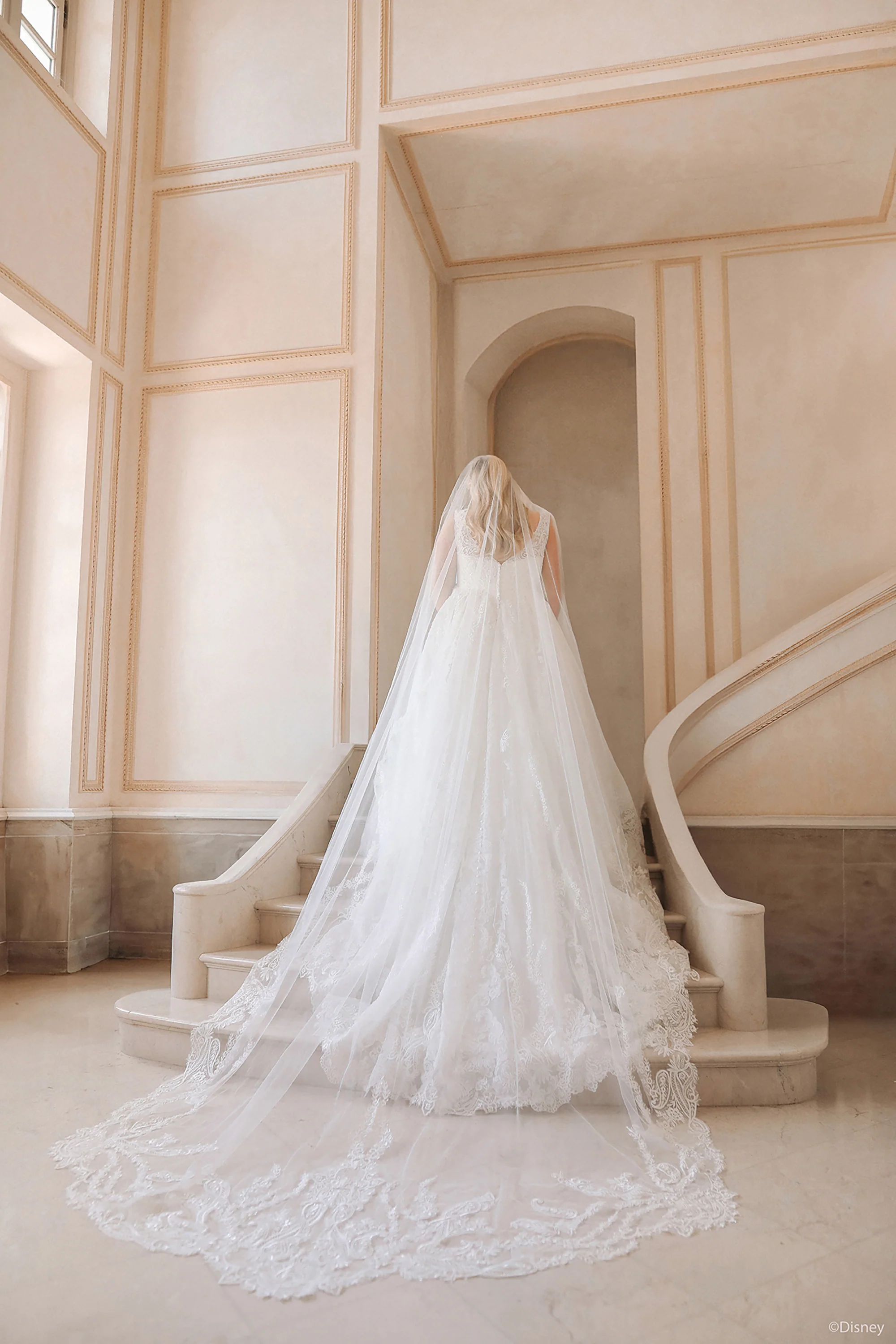 D443 - Cinderella - Image 11