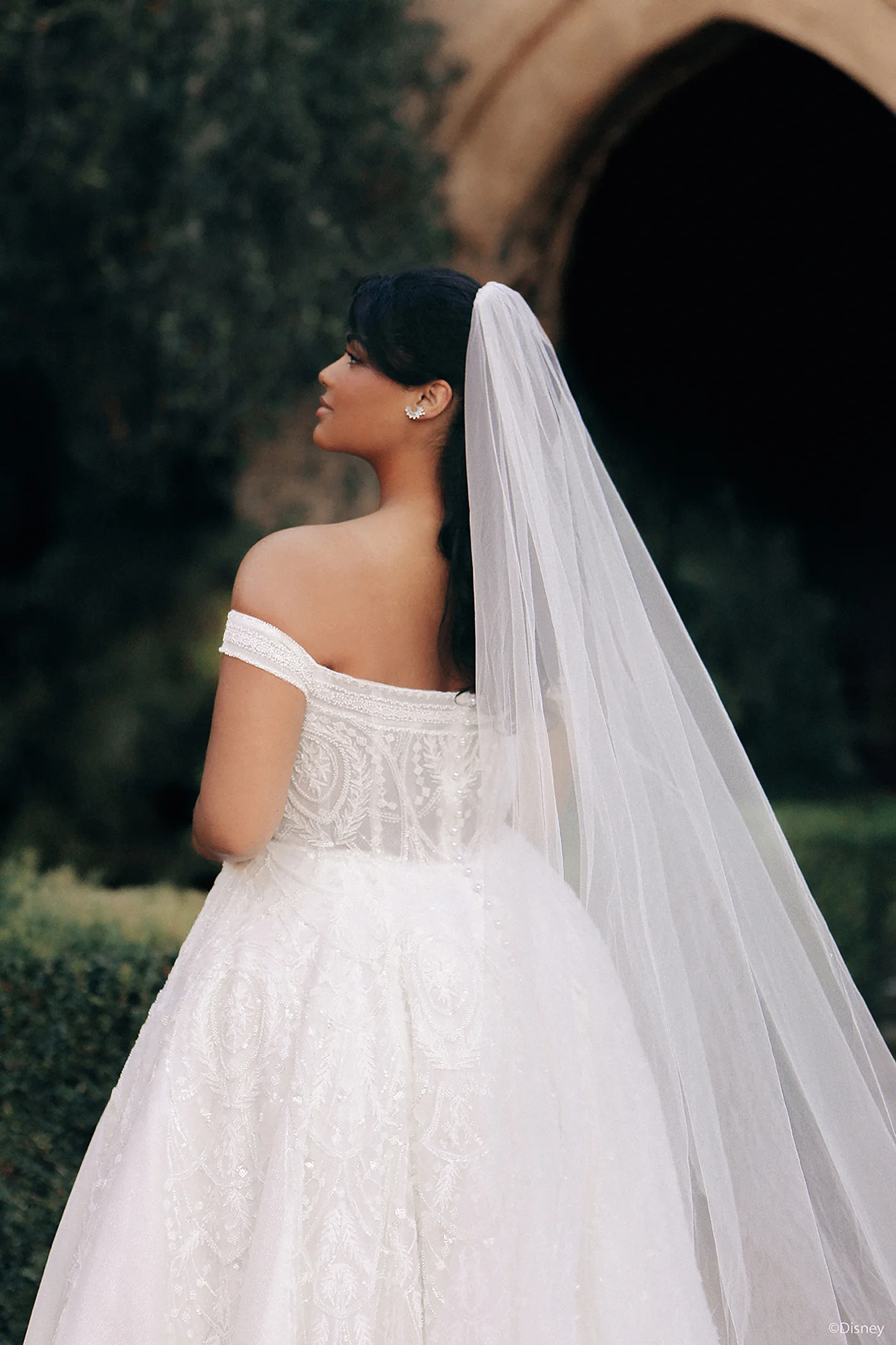 DP424 - Jasmine - Image 13