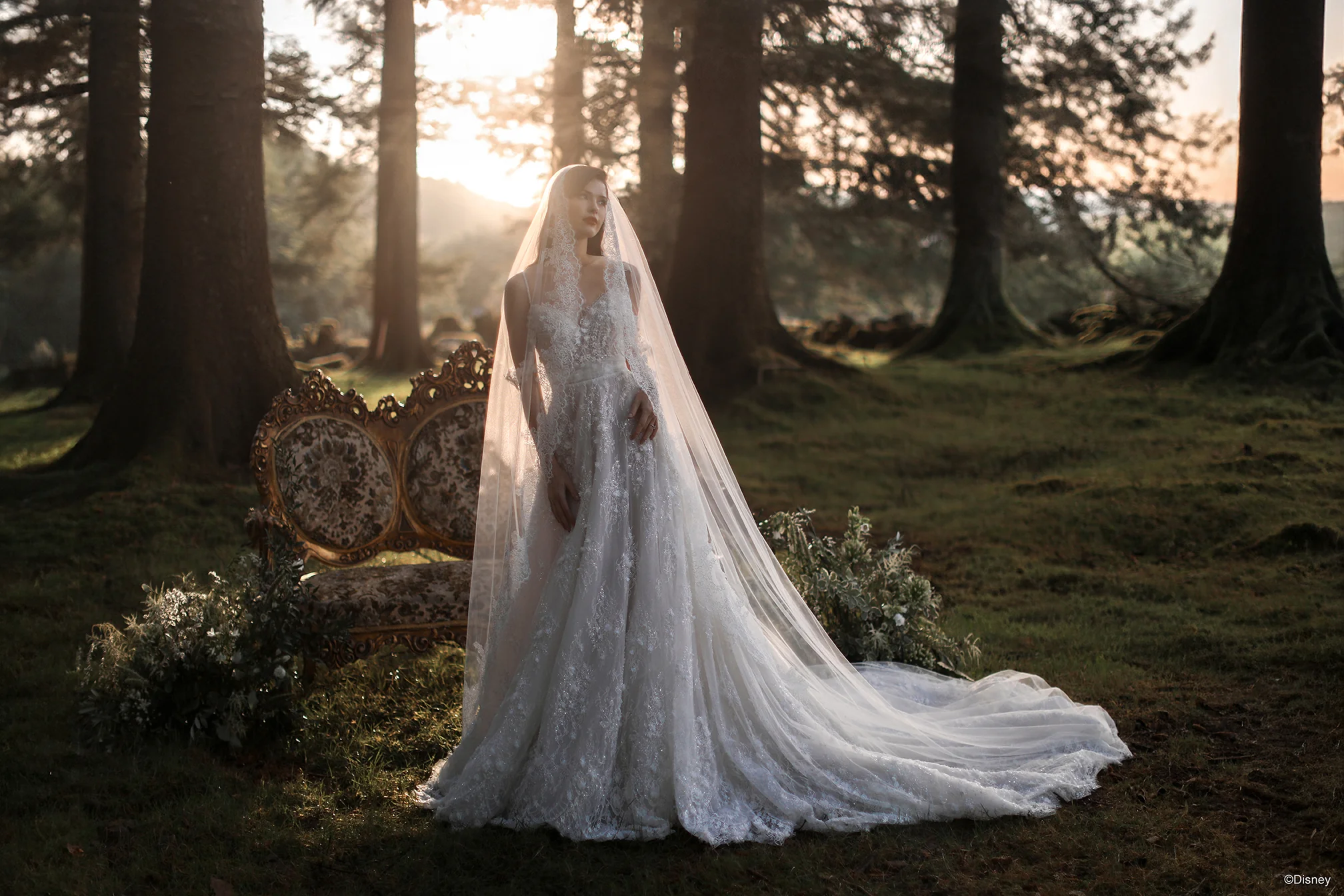 DV57 - Snow White Veil - Image 5